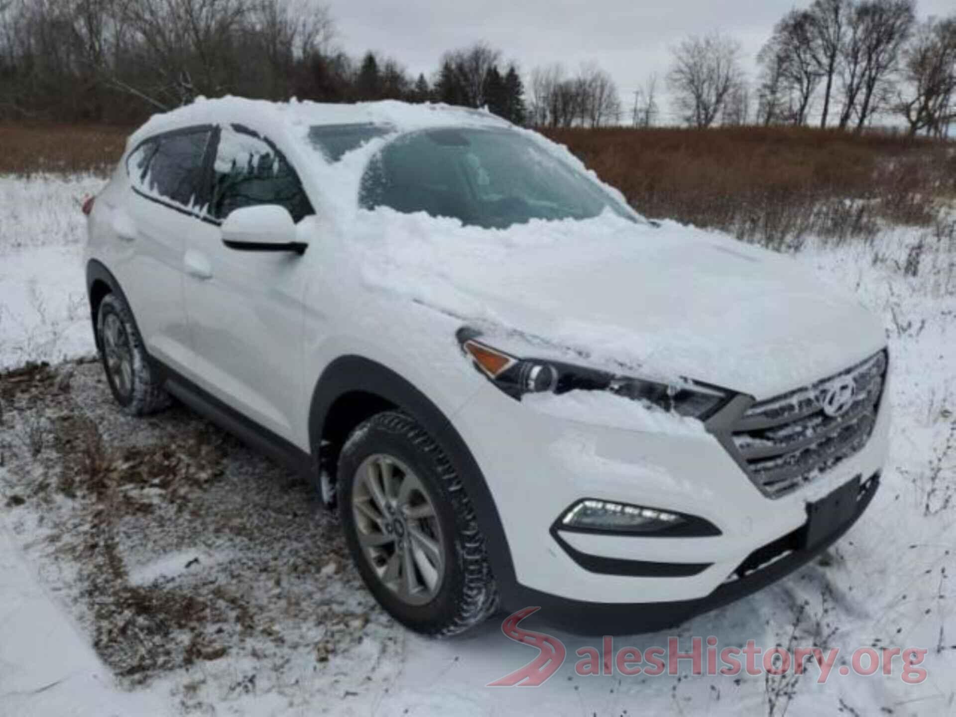 KM8J3CA41GU254183 2016 HYUNDAI TUCSON