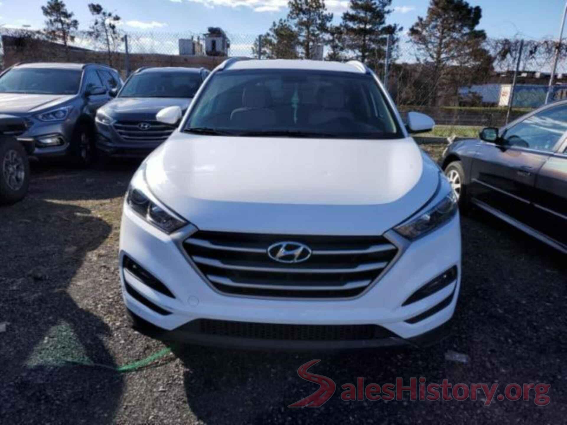 KM8J3CA45HU569800 2017 HYUNDAI TUCSON