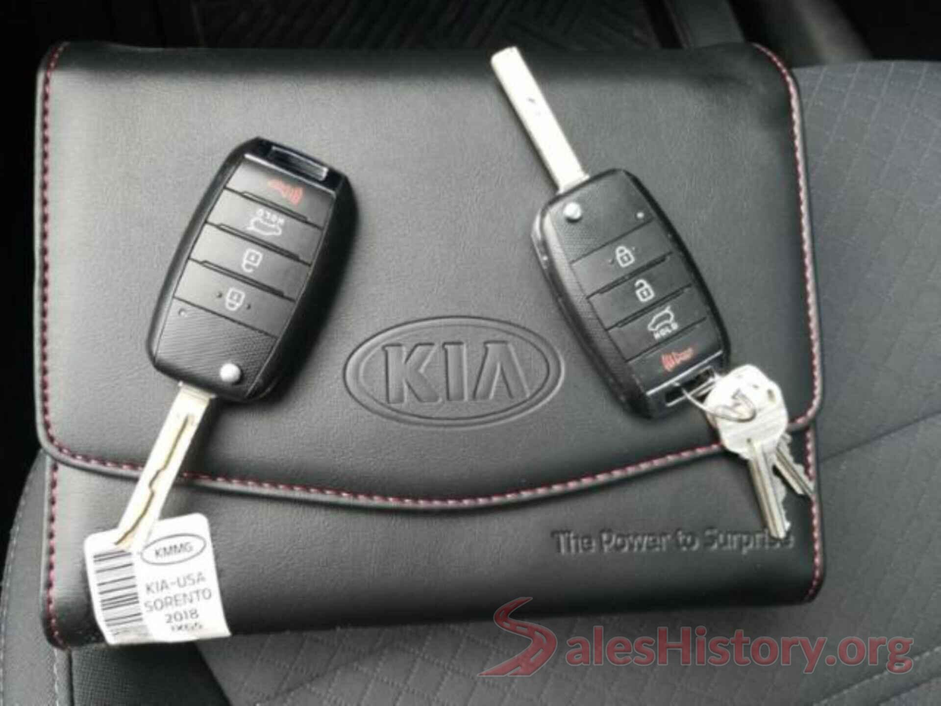 5XYPGDA32JG346427 2018 KIA SORENTO