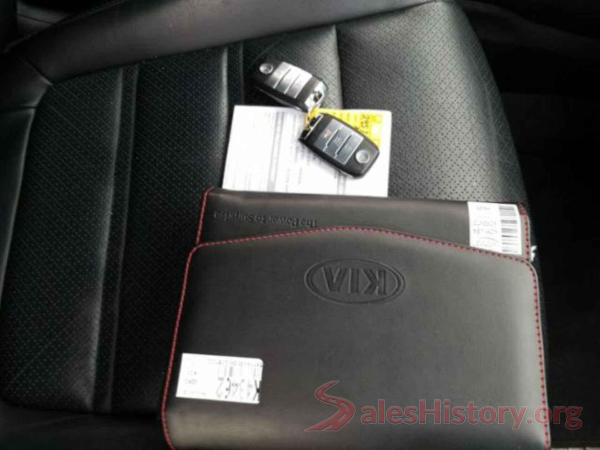 5XYPH4A52HG295732 2017 KIA SORENTO