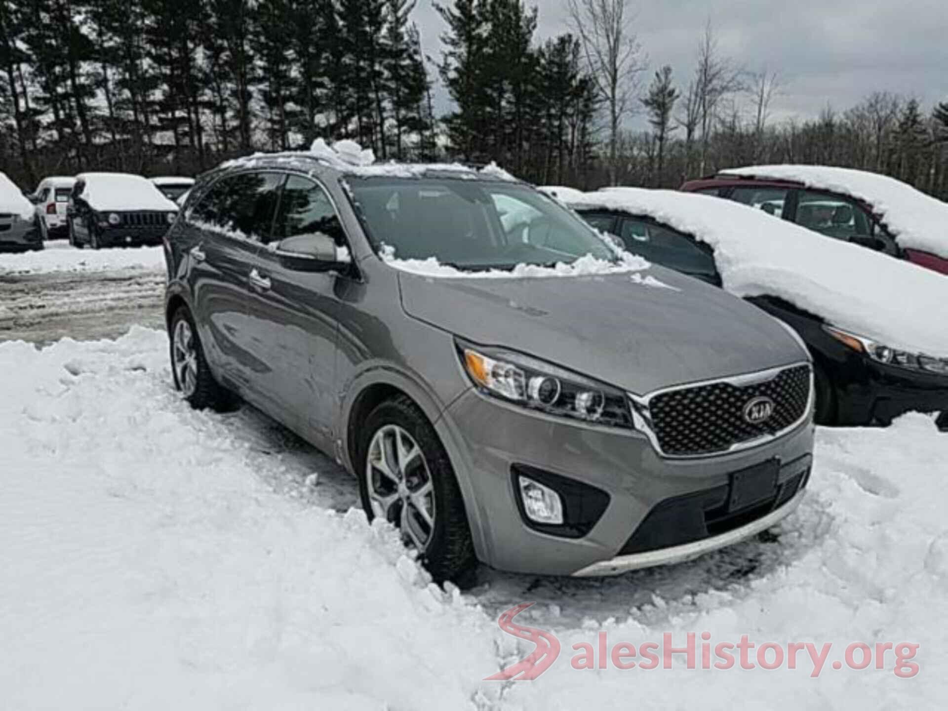 5XYPKDA53HG242118 2017 KIA SORENTO