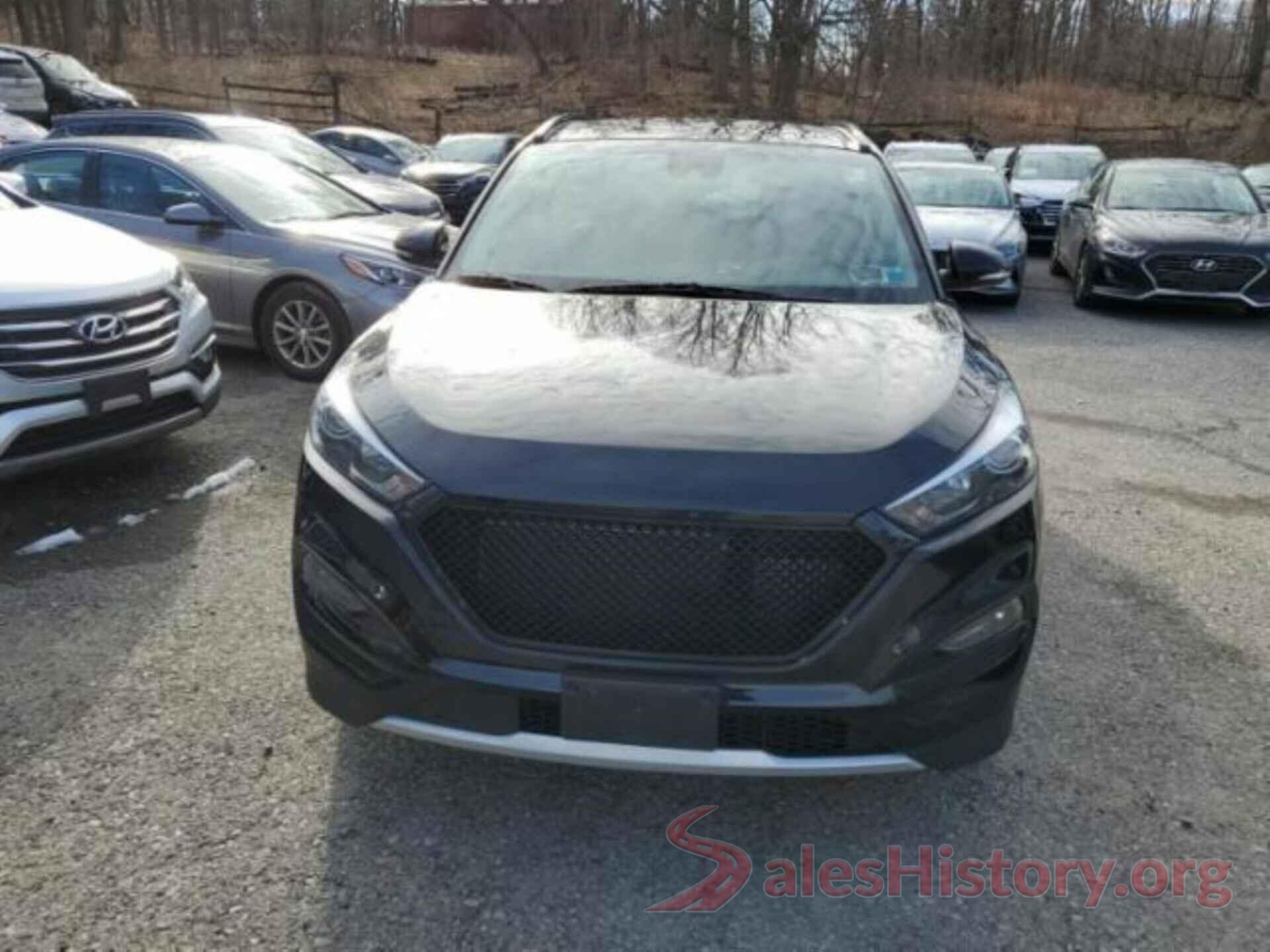 KM8J3CA26HU598642 2017 HYUNDAI TUCSON