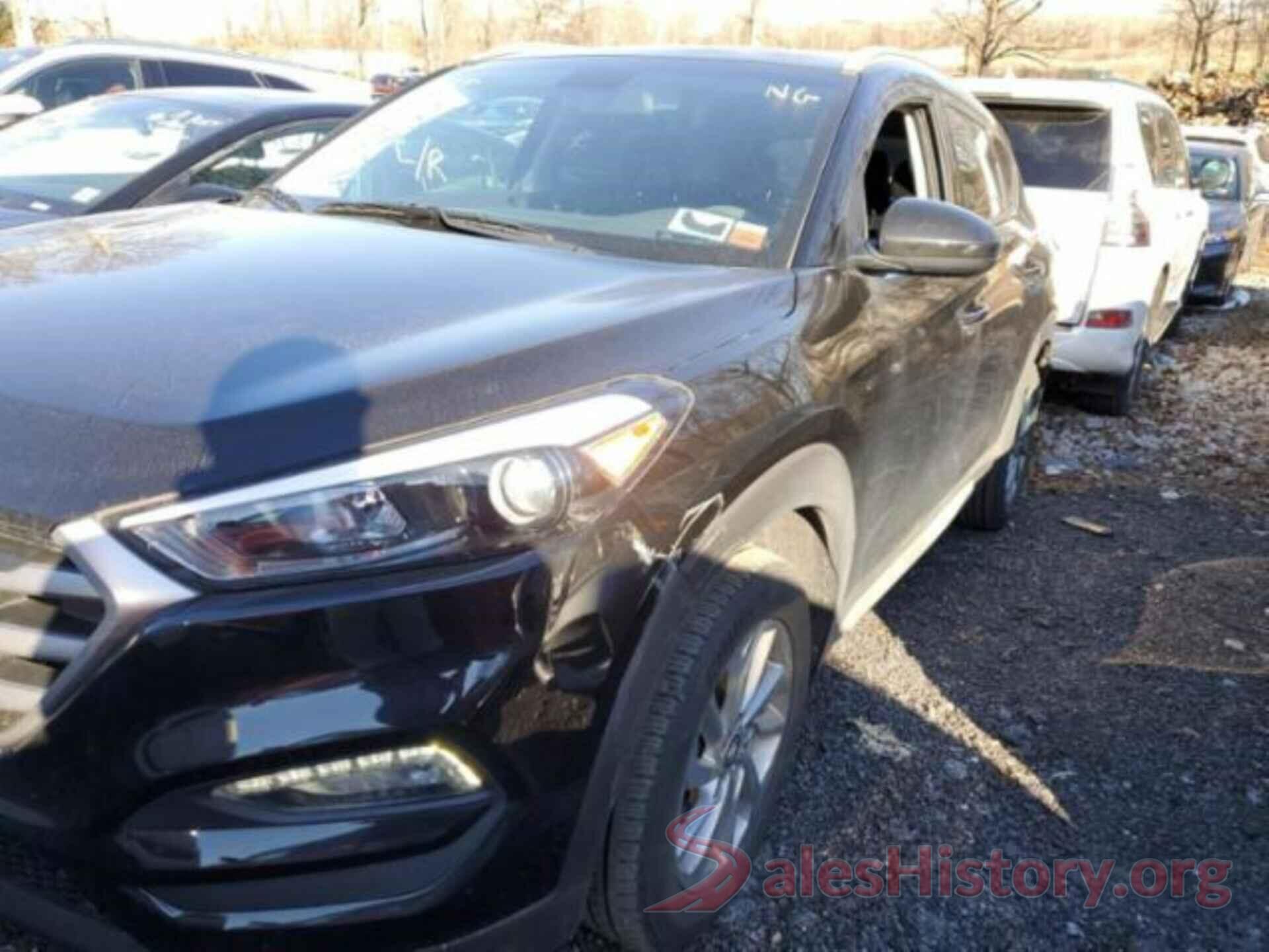 KM8J3CA42HU555689 2017 HYUNDAI TUCSON