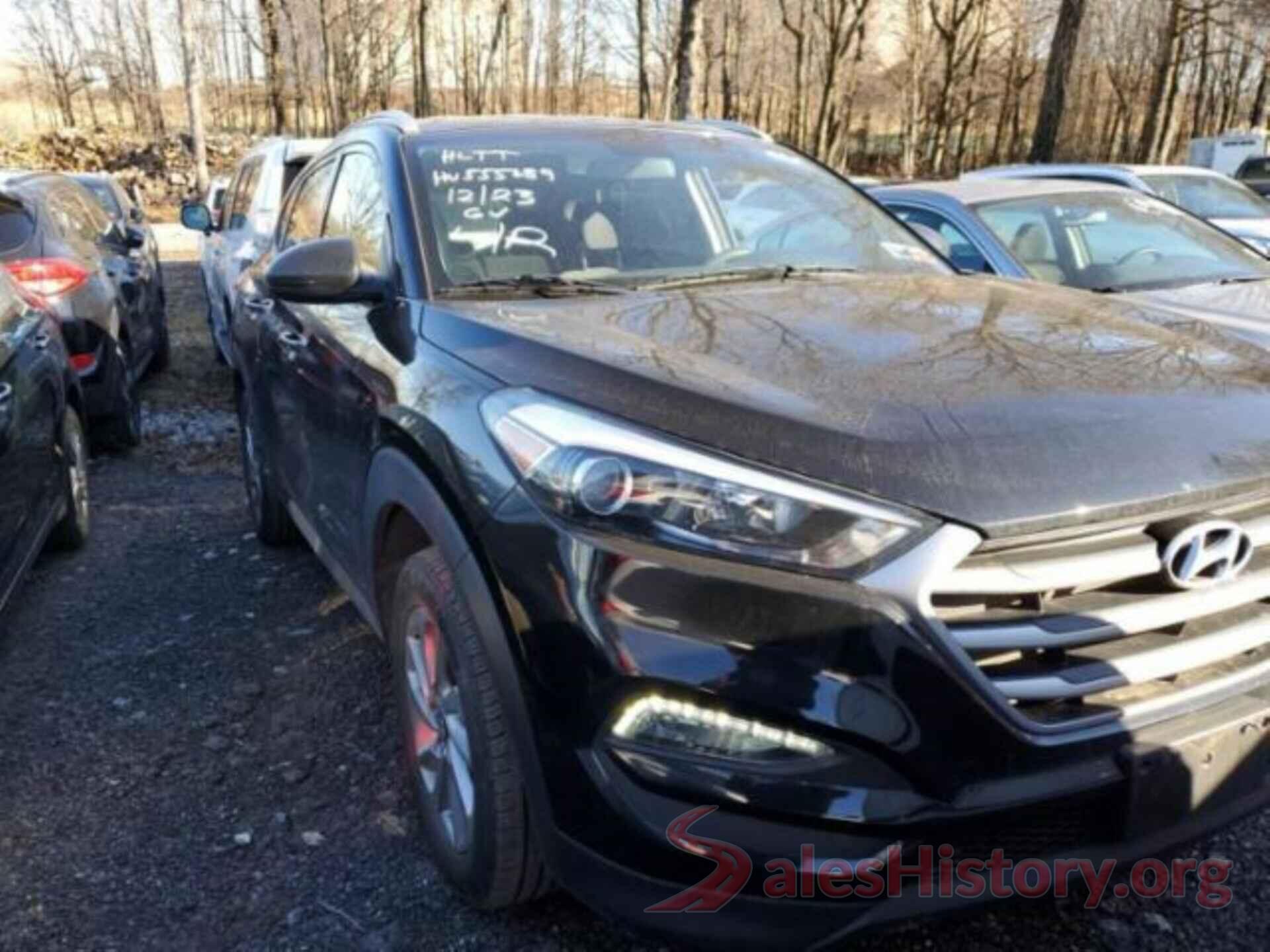 KM8J3CA42HU555689 2017 HYUNDAI TUCSON