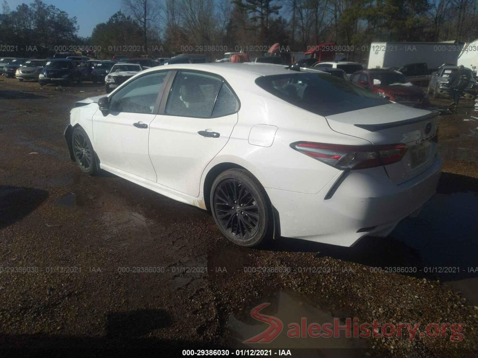 4T1B11HK5KU293239 2019 TOYOTA CAMRY