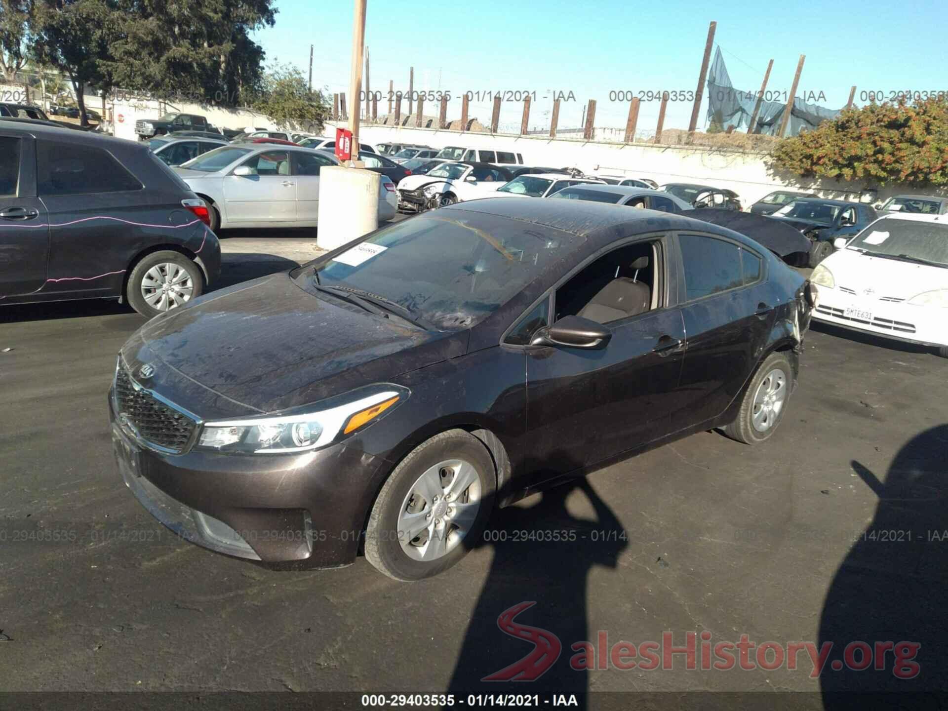 3KPFK4A70HE045529 2017 KIA FORTE