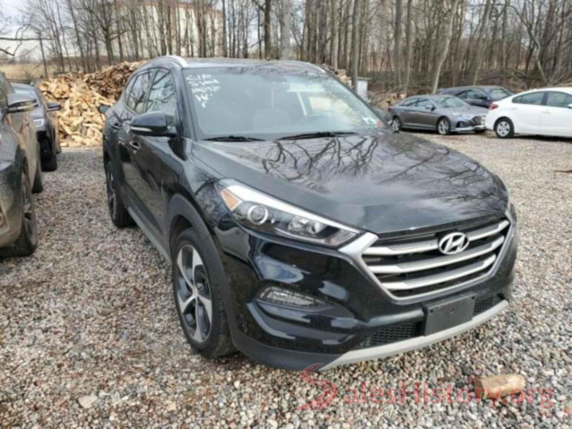 KM8J3CA20HU592528 2017 HYUNDAI TUCSON