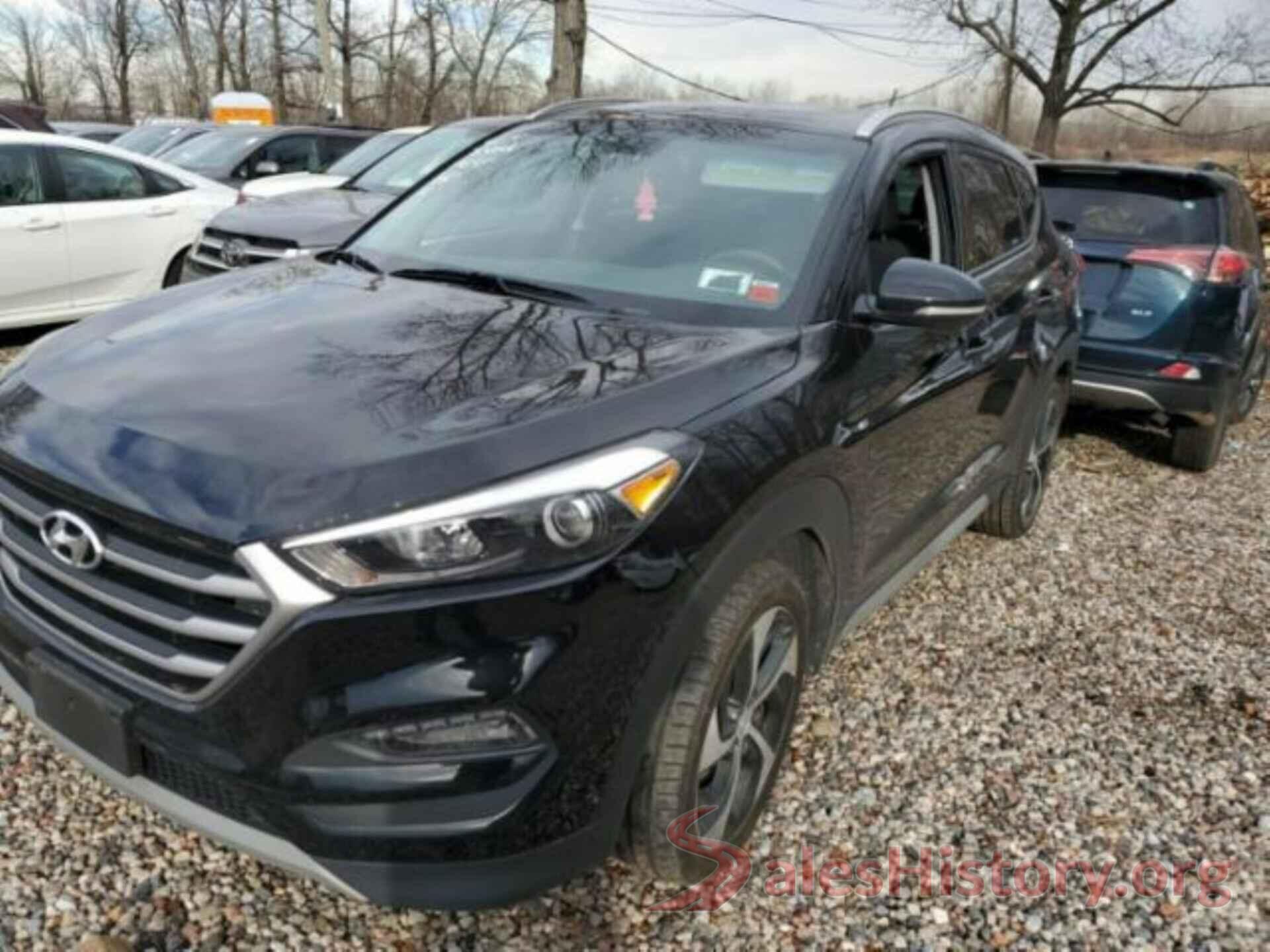 KM8J3CA20HU592528 2017 HYUNDAI TUCSON