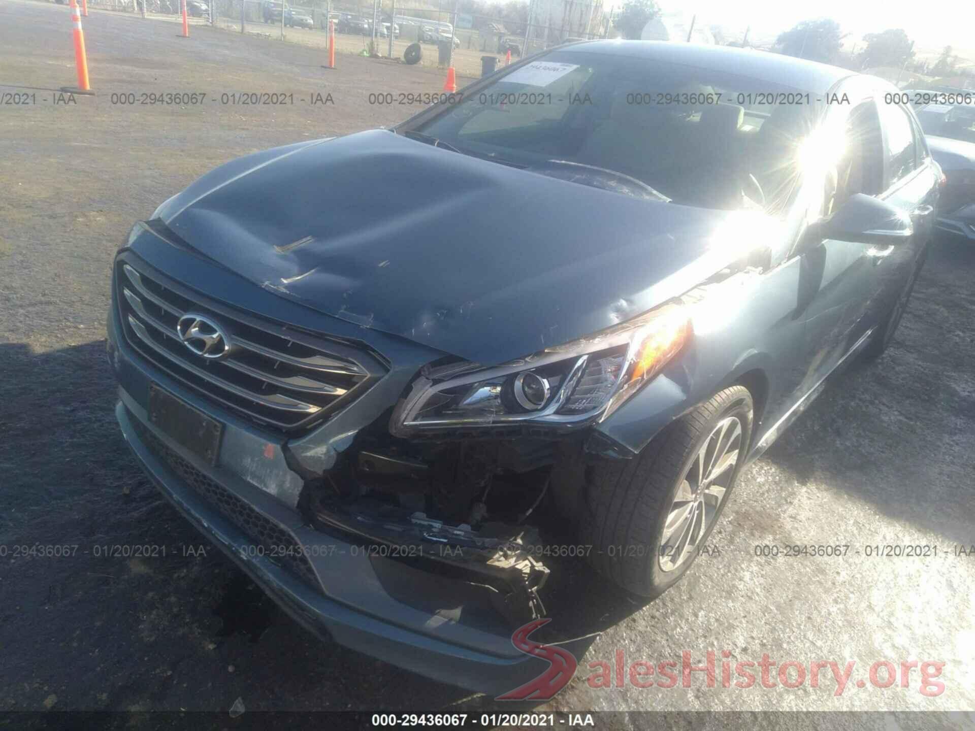 5NPE34AF6GH413318 2016 HYUNDAI SONATA