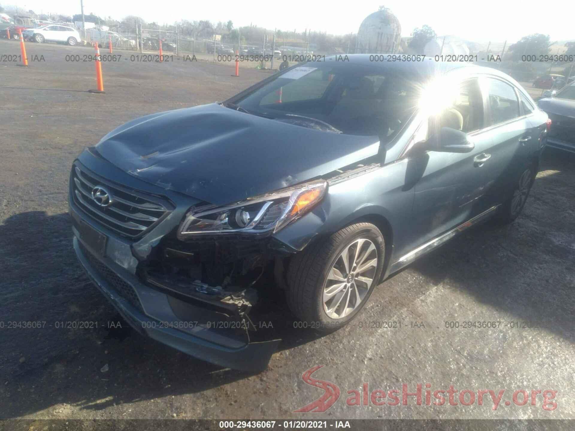 5NPE34AF6GH413318 2016 HYUNDAI SONATA