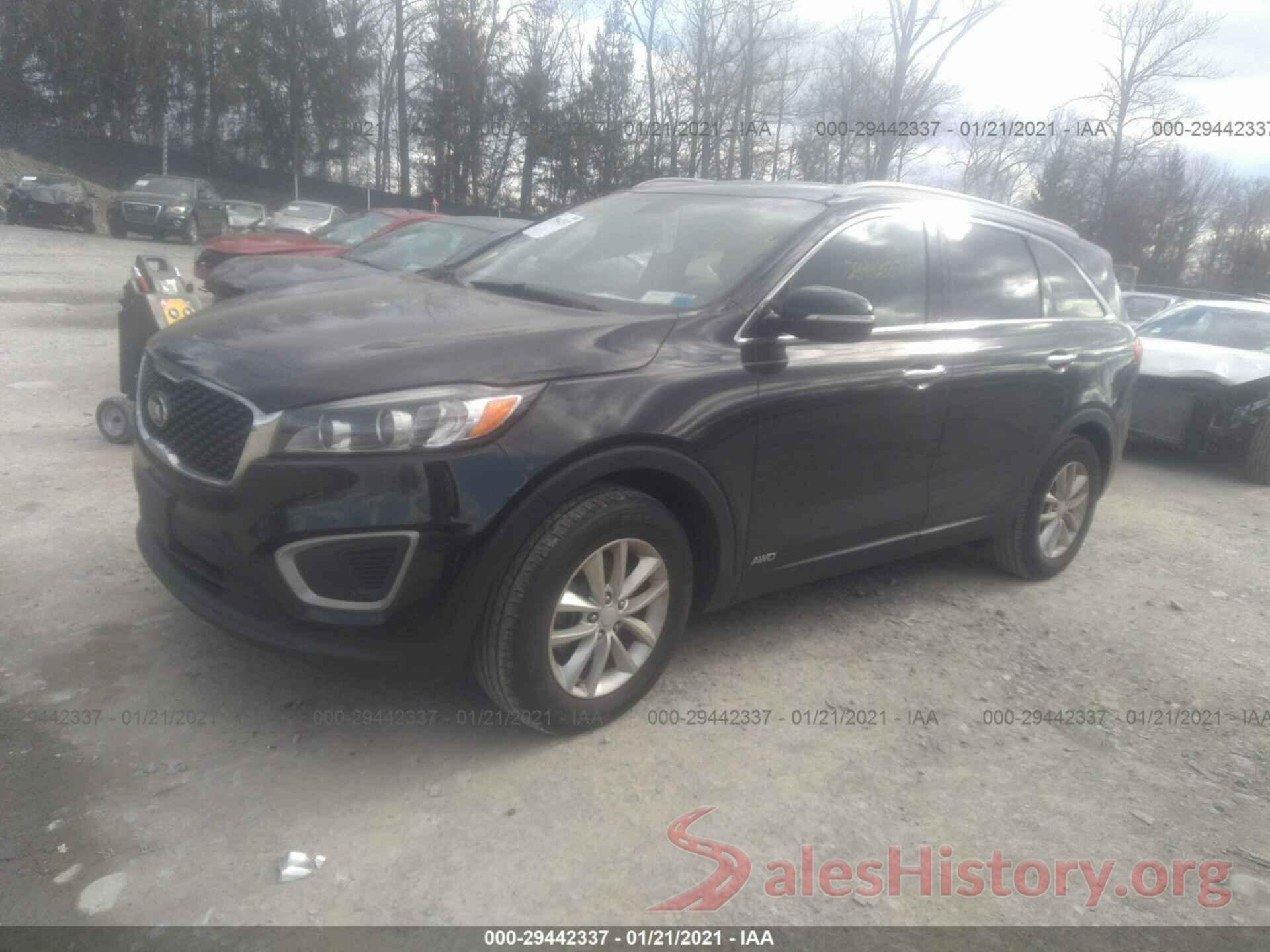 5XYPGDA34GG034540 2016 KIA SORENTO