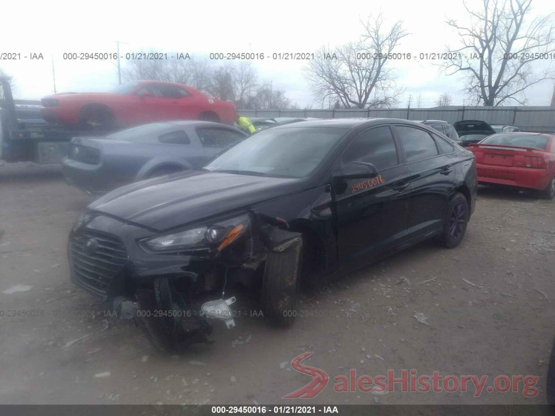 5NPE24AF6KH756030 2019 HYUNDAI SONATA