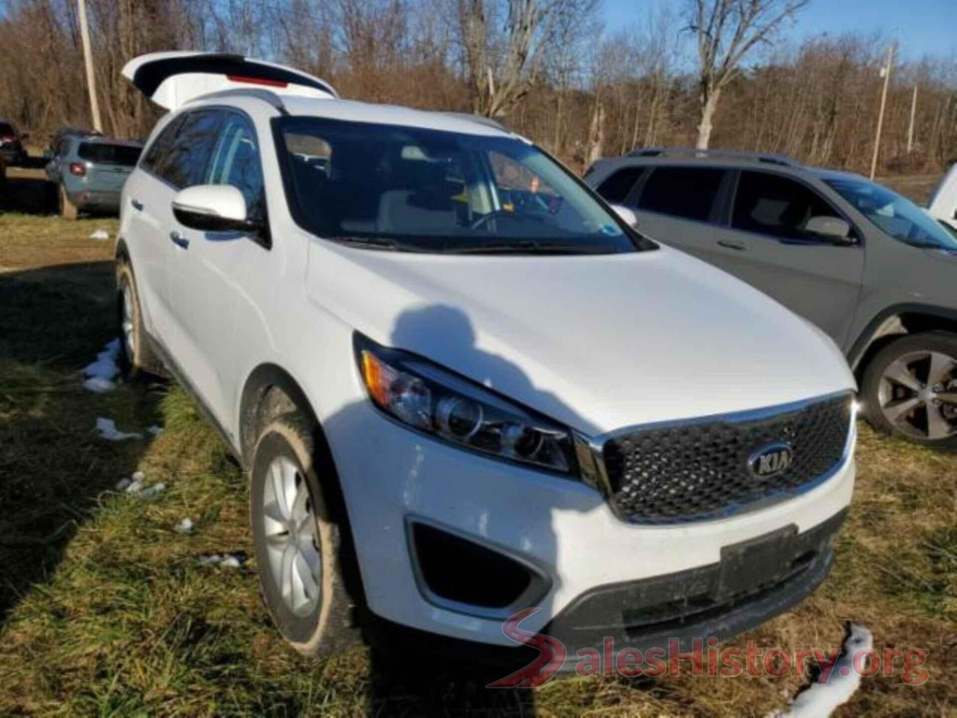 5XYPGDA39JG387346 2018 KIA SORENTO