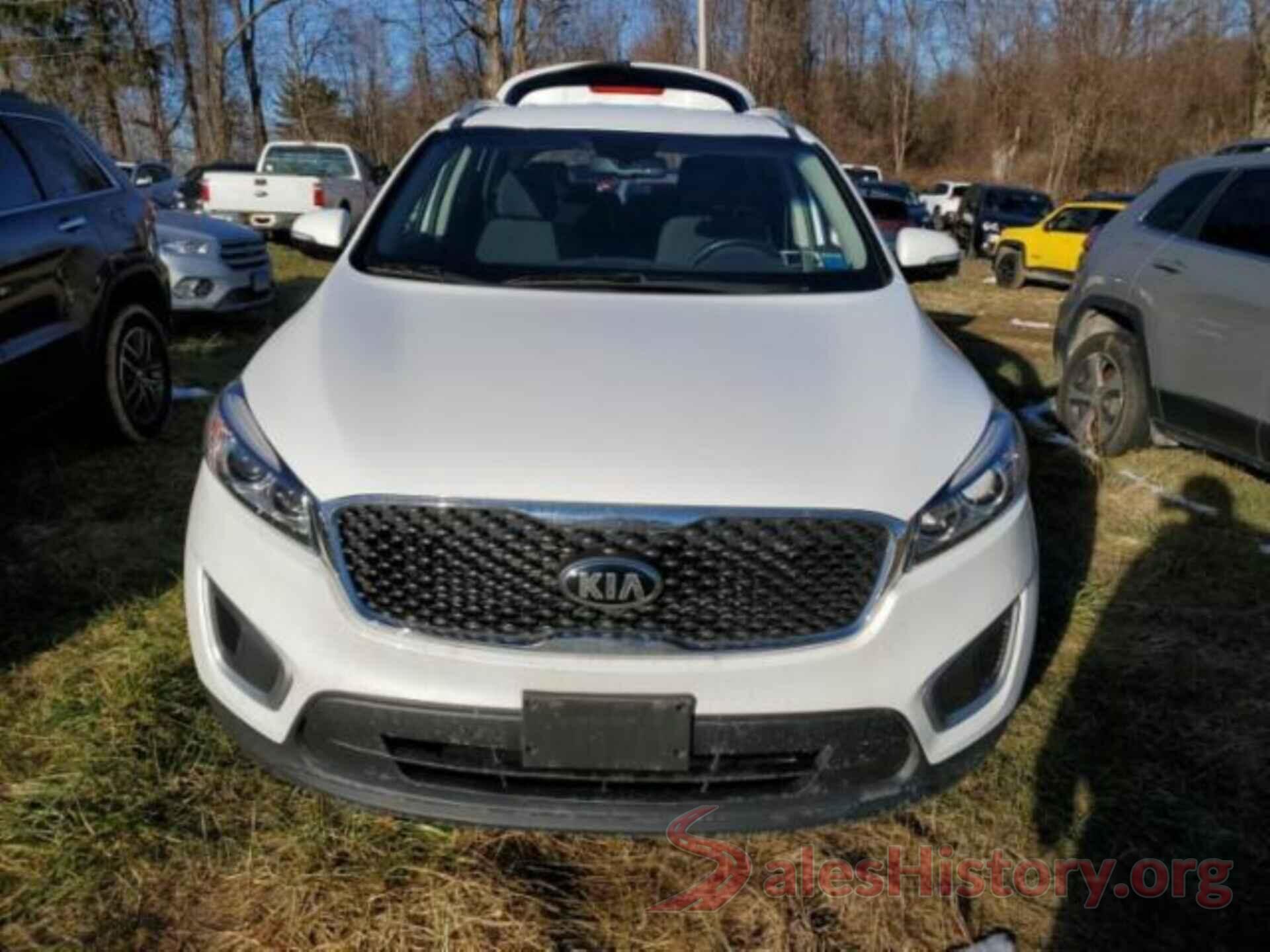 5XYPGDA39JG387346 2018 KIA SORENTO