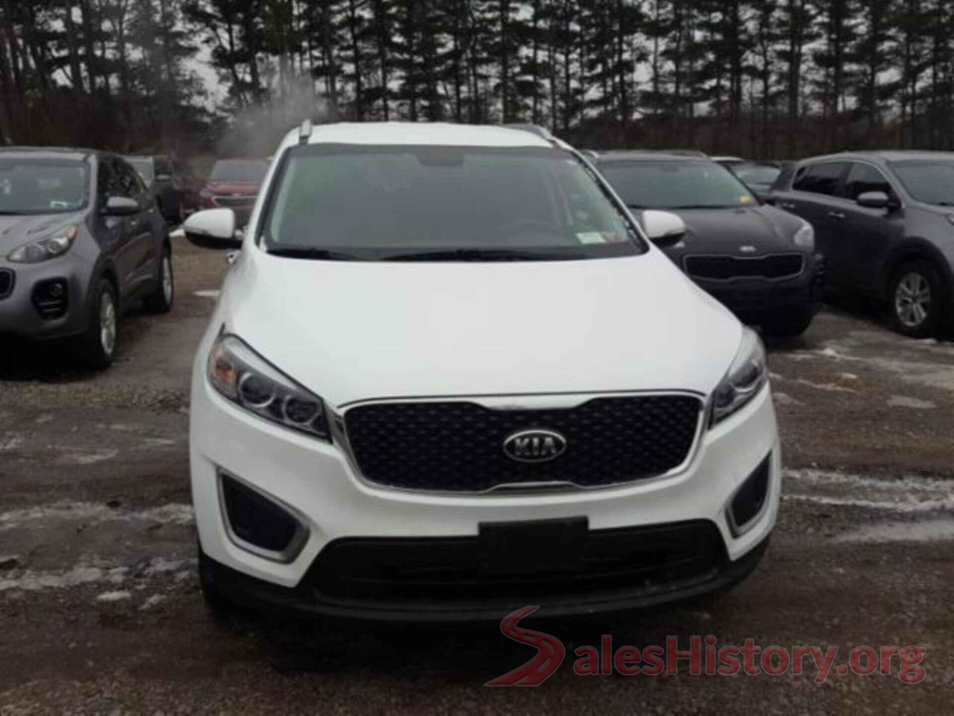 5XYPGDA34JG388923 2018 KIA SORENTO