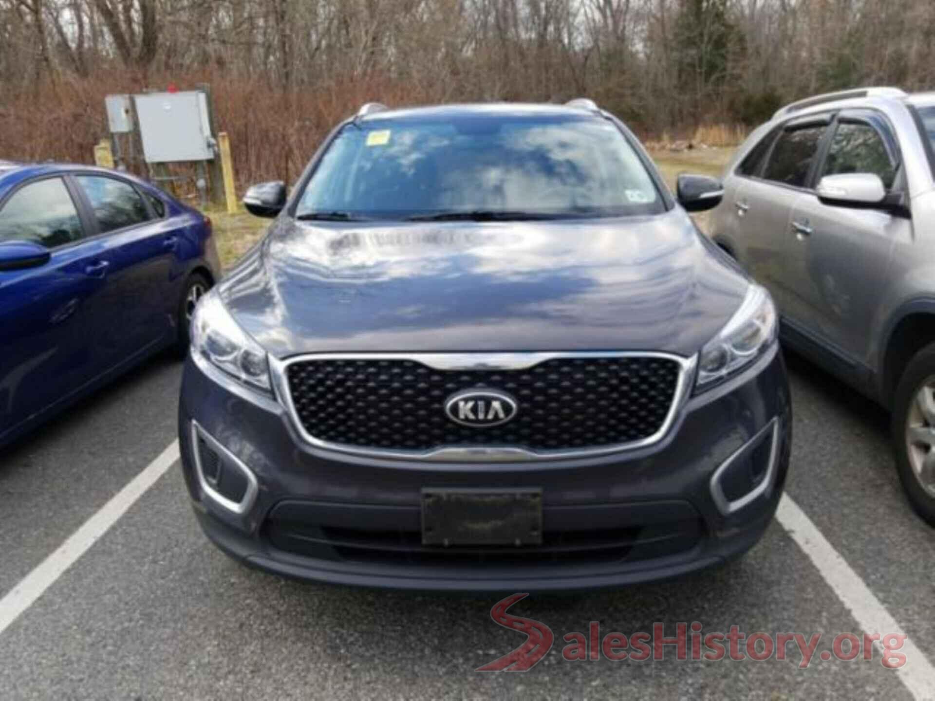 5XYPG4A35HG298710 2017 KIA SORENTO