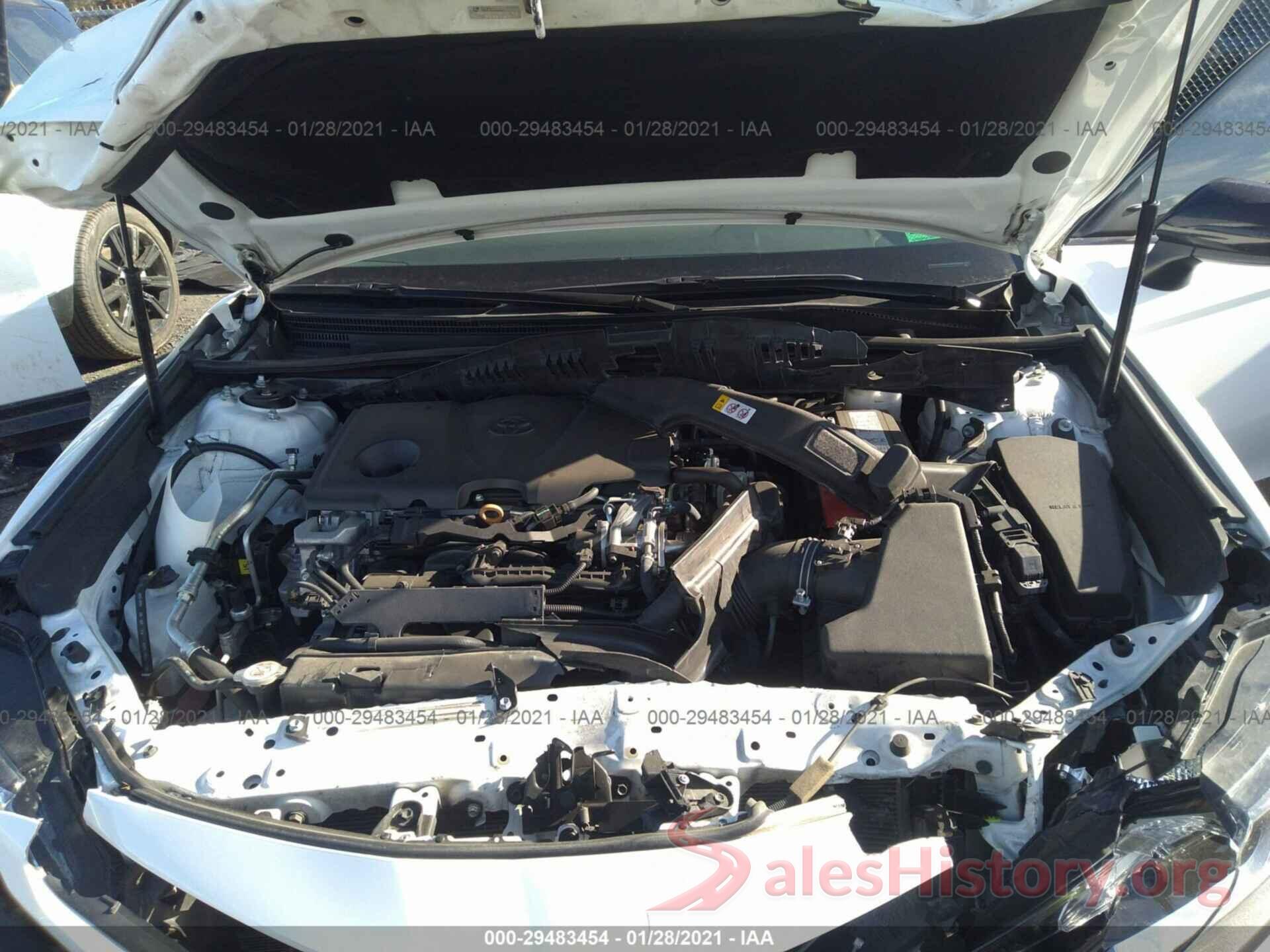 4T1B11HK0KU294556 2019 TOYOTA CAMRY