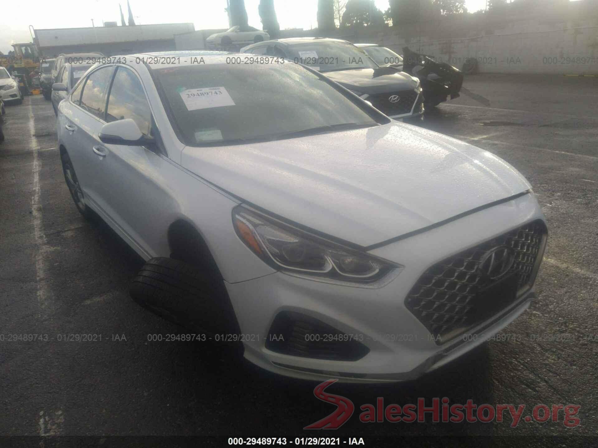 5NPE34AF8KH801353 2019 HYUNDAI SONATA