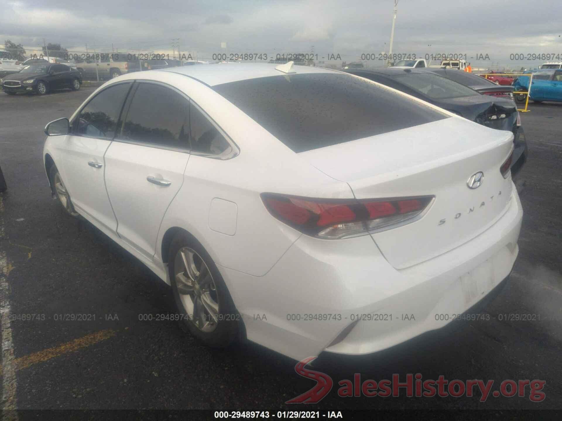 5NPE34AF8KH801353 2019 HYUNDAI SONATA