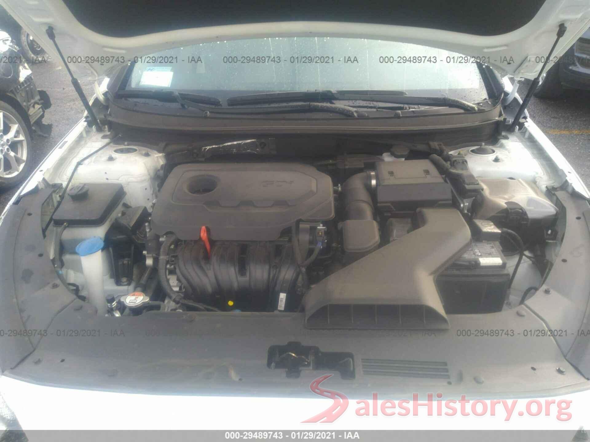 5NPE34AF8KH801353 2019 HYUNDAI SONATA