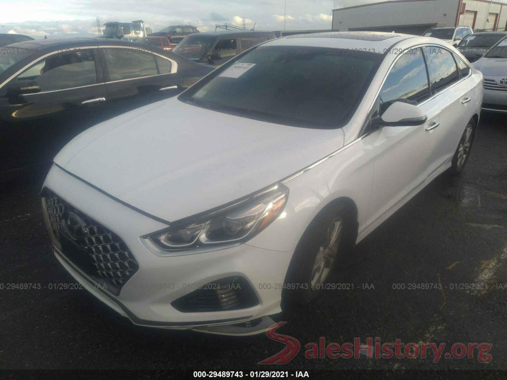 5NPE34AF8KH801353 2019 HYUNDAI SONATA