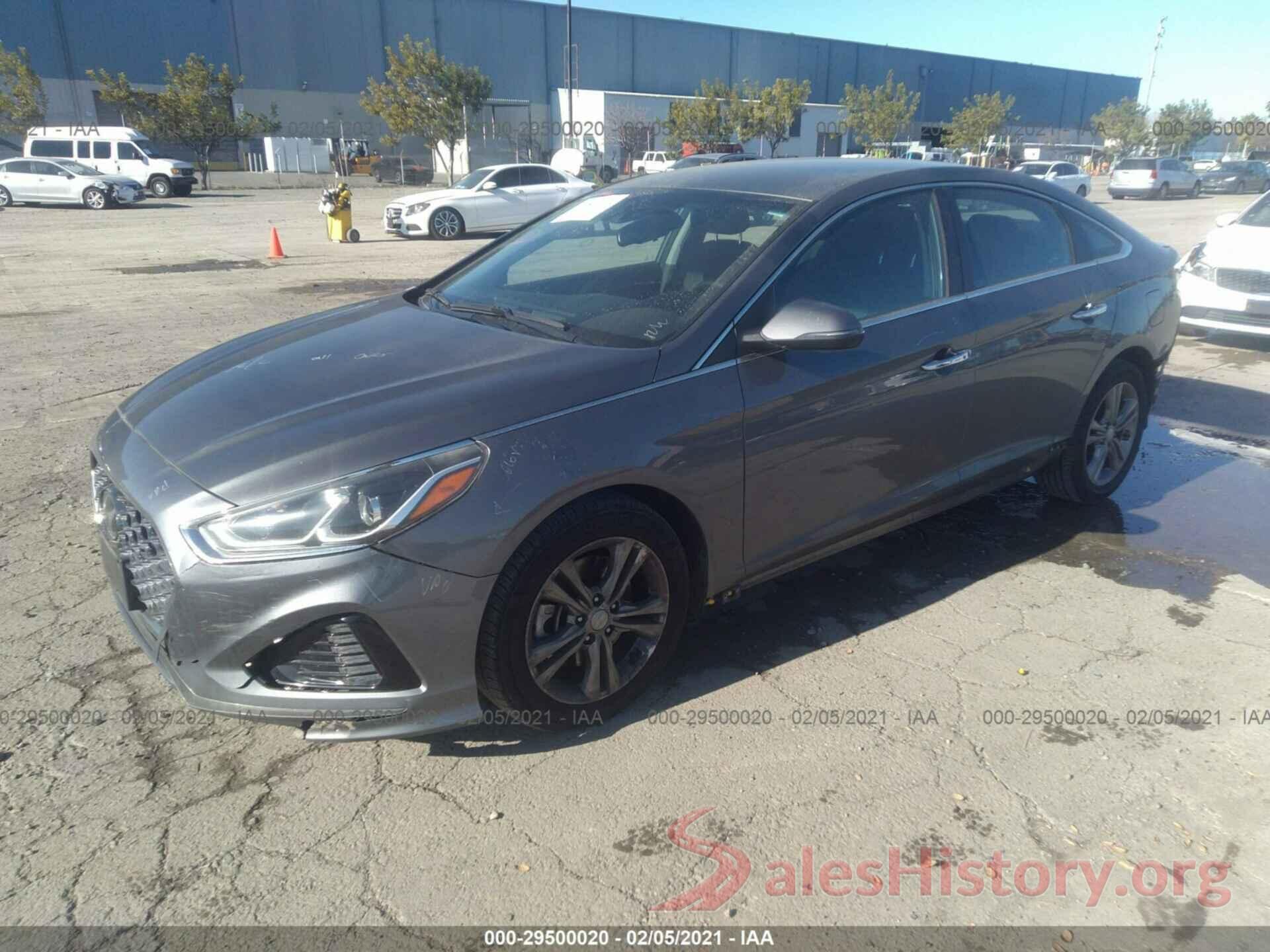 5NPE34AF9KH798804 2019 HYUNDAI SONATA