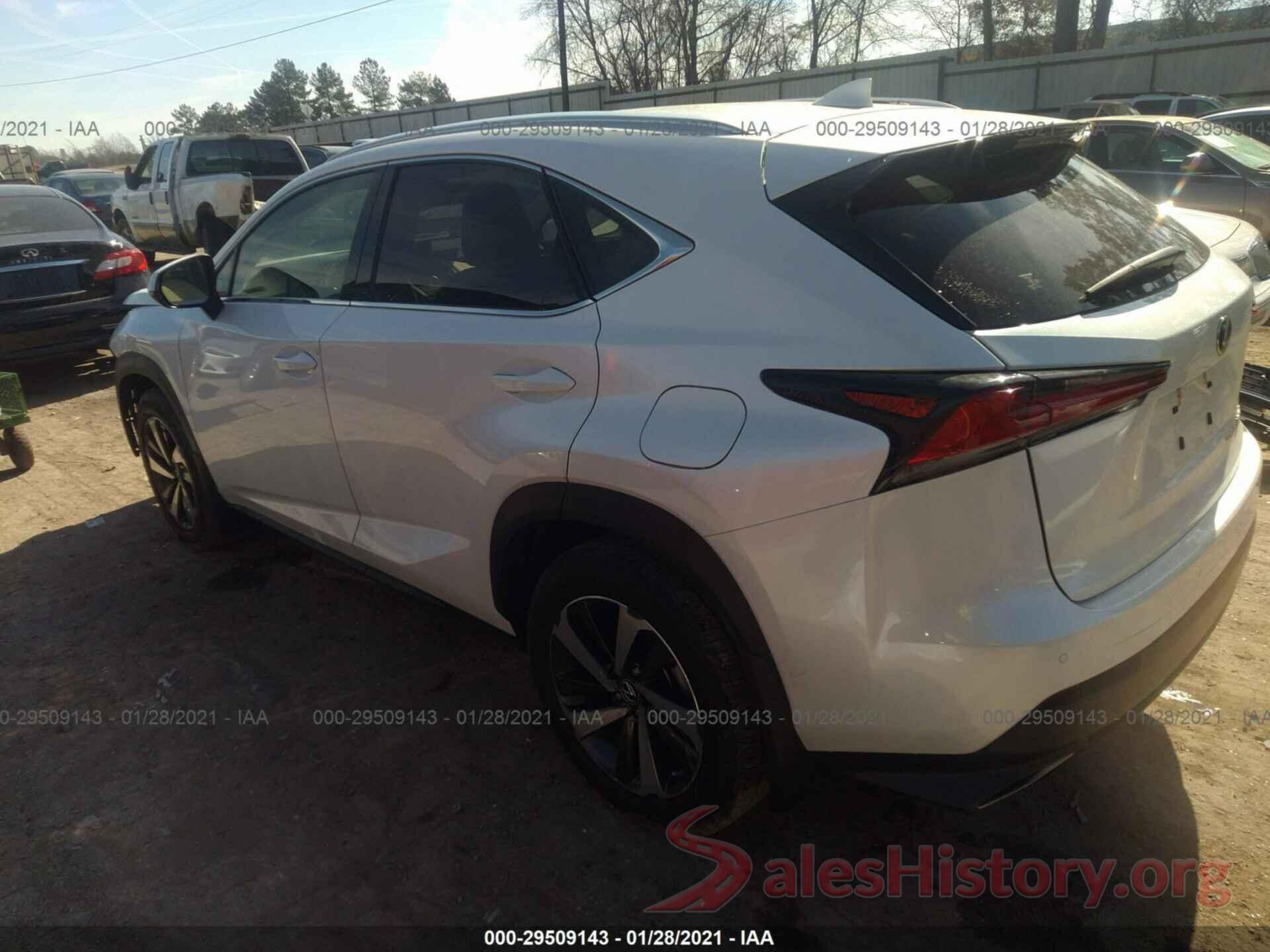 JTJBARBZ6K2193152 2019 LEXUS NX