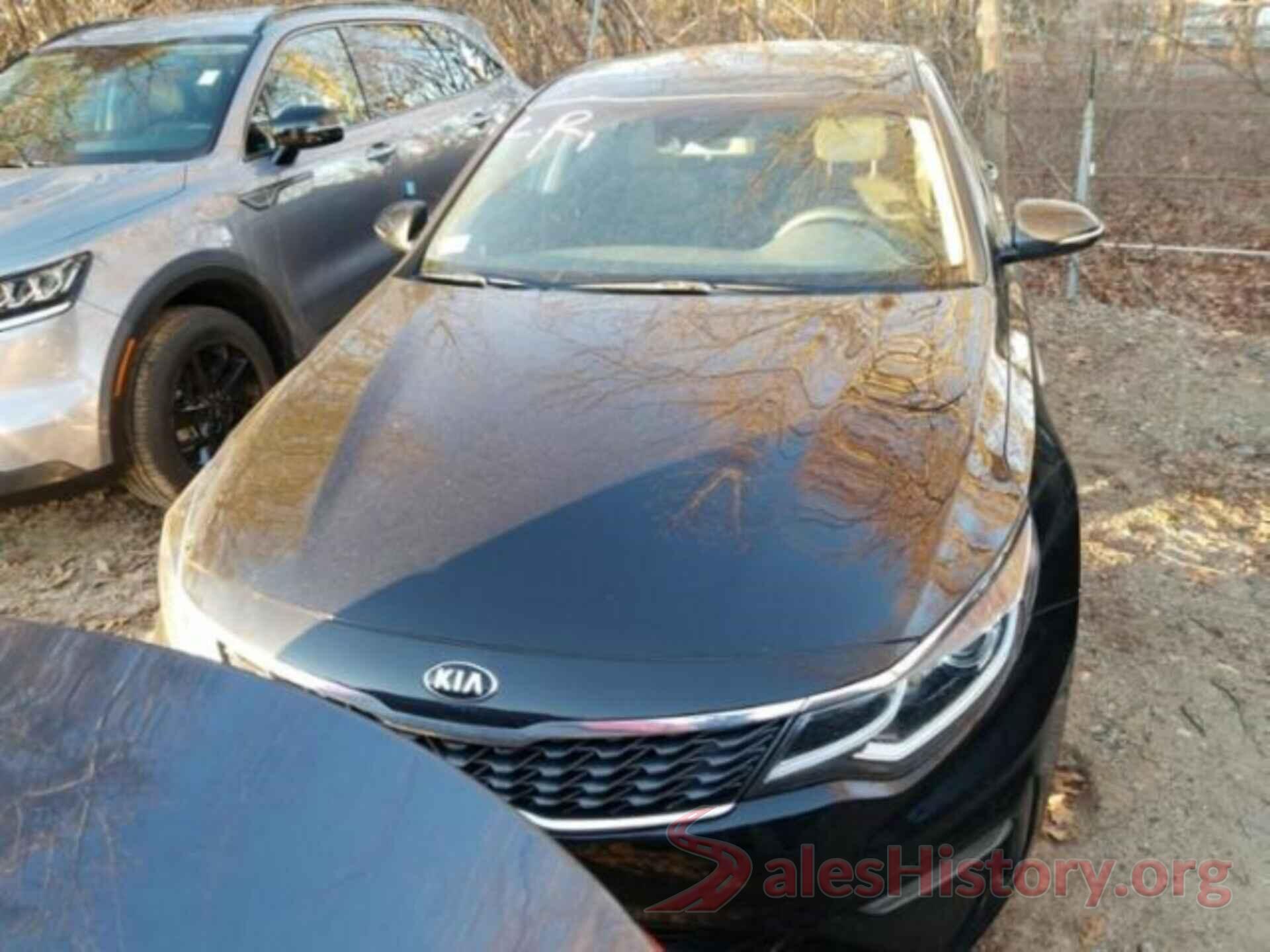 5XXGT4L3XKG323394 2019 KIA OPTIMA