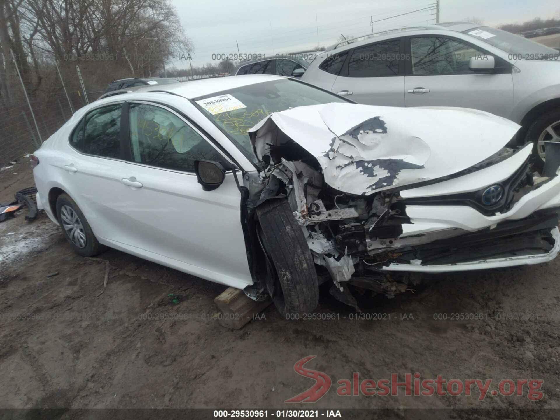 4T1B31HK8KU516156 2019 TOYOTA CAMRY