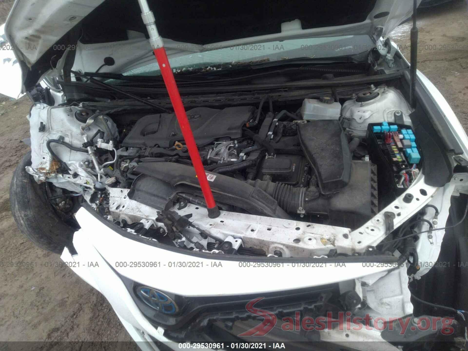 4T1B31HK8KU516156 2019 TOYOTA CAMRY