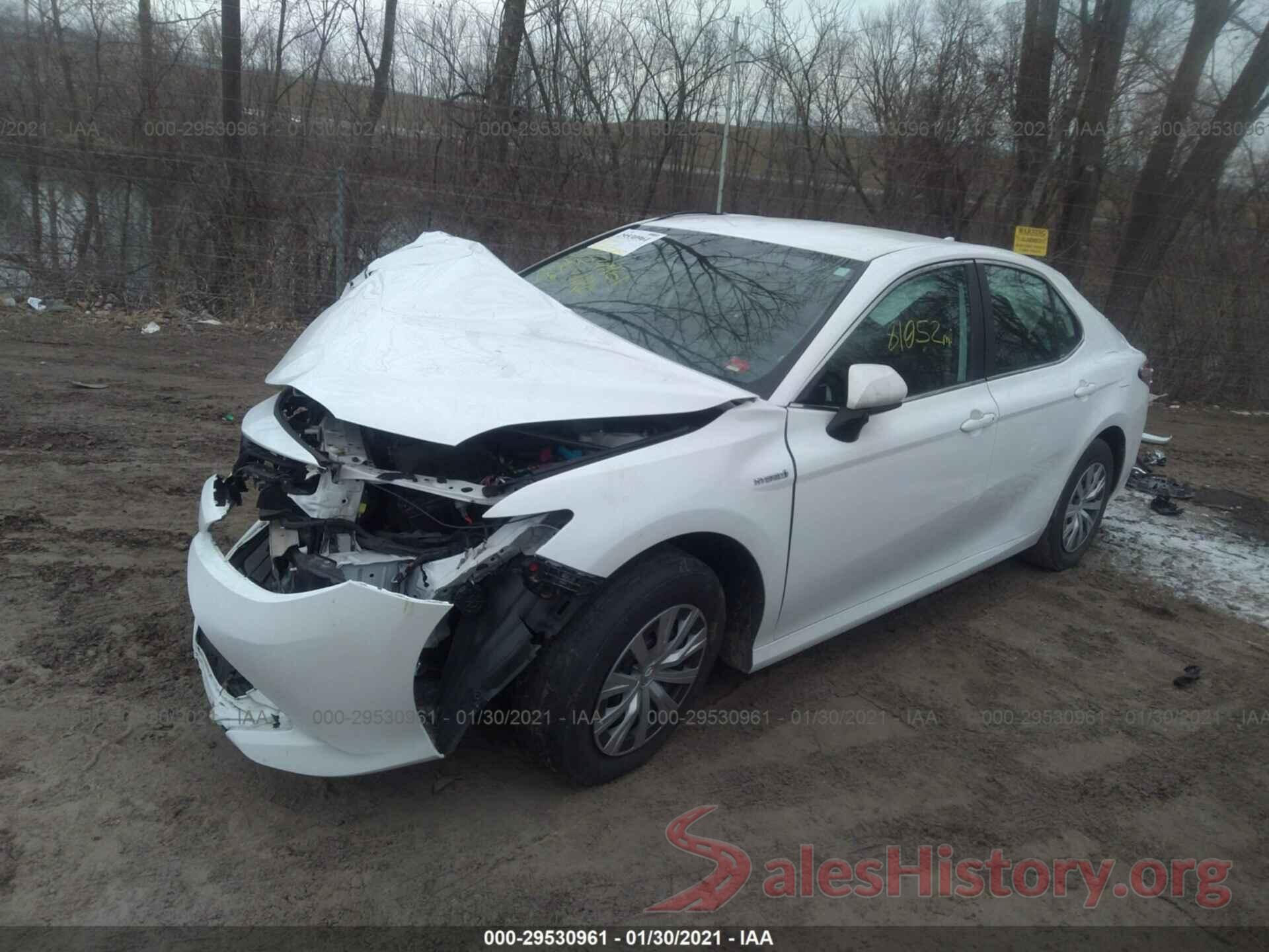 4T1B31HK8KU516156 2019 TOYOTA CAMRY