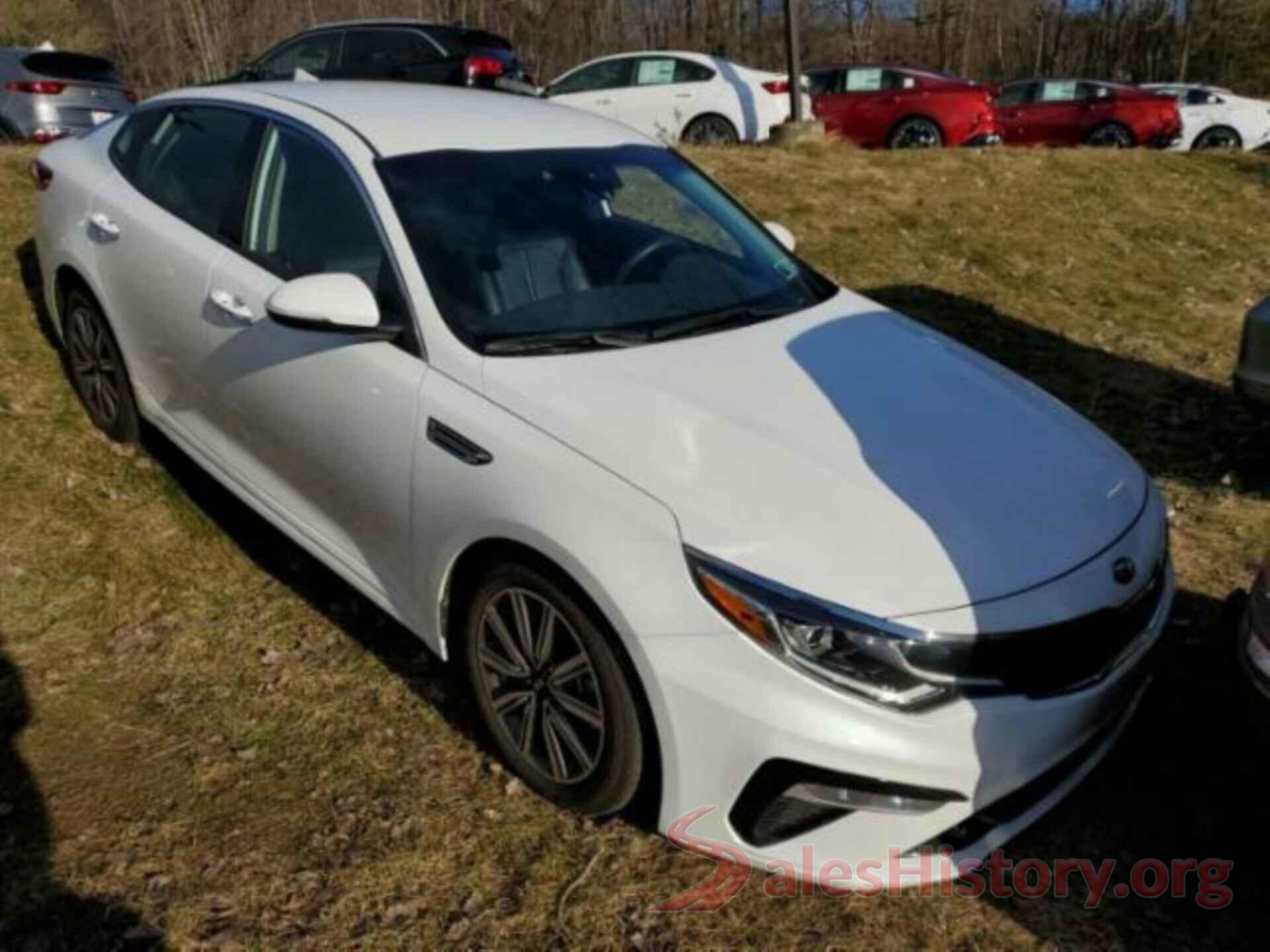 5XXGU4L15KG343984 2019 KIA OPTIMA