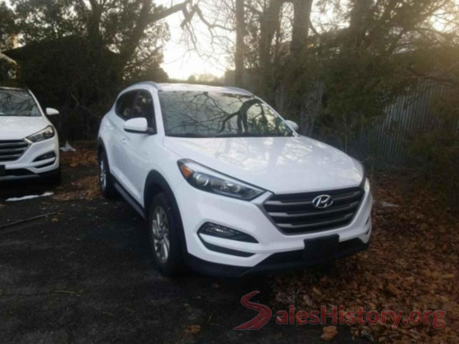 KM8J3CA45HU585608 2017 HYUNDAI TUCSON