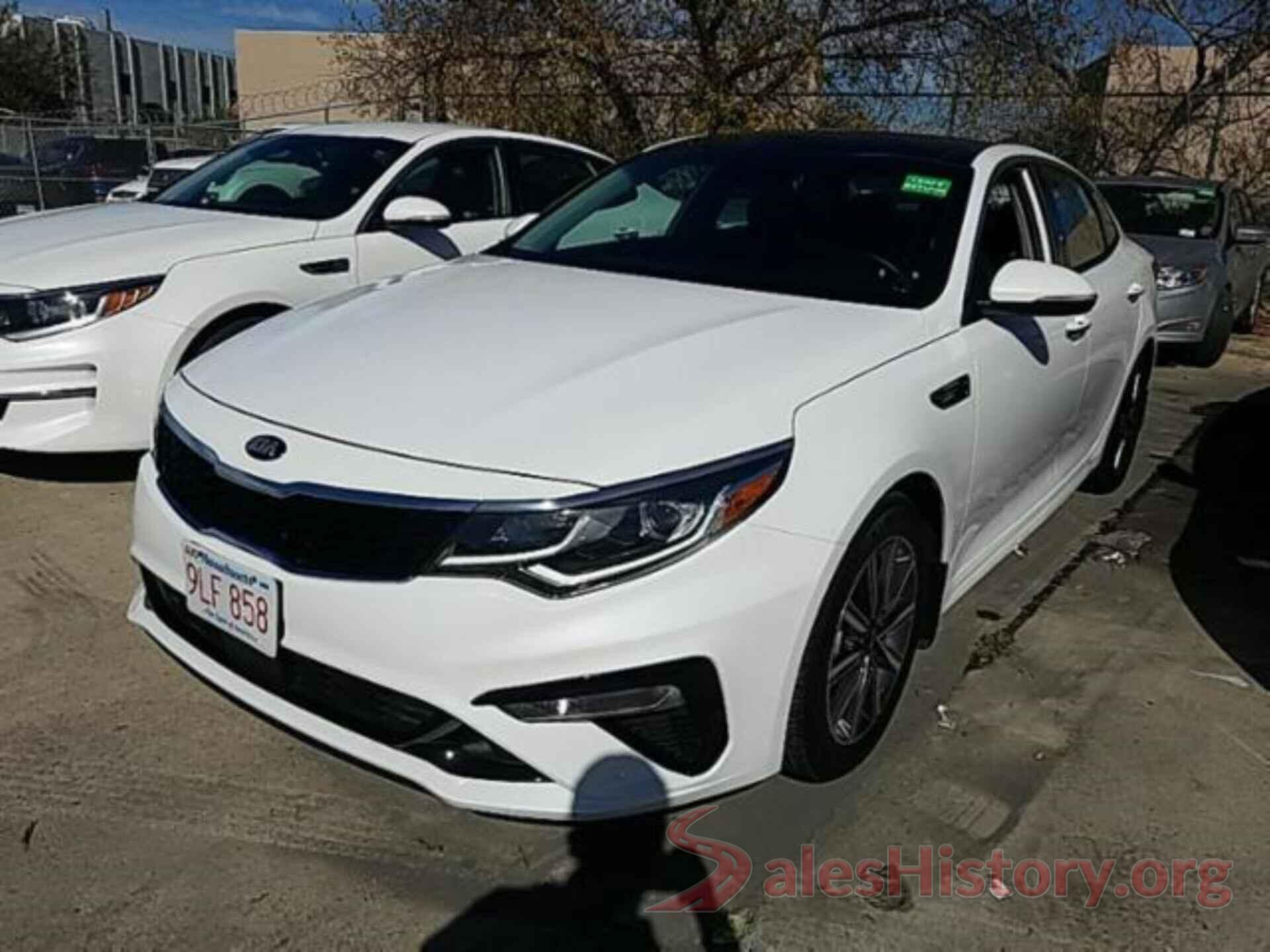 5XXGU4L1XKG295950 2019 KIA OPTIMA