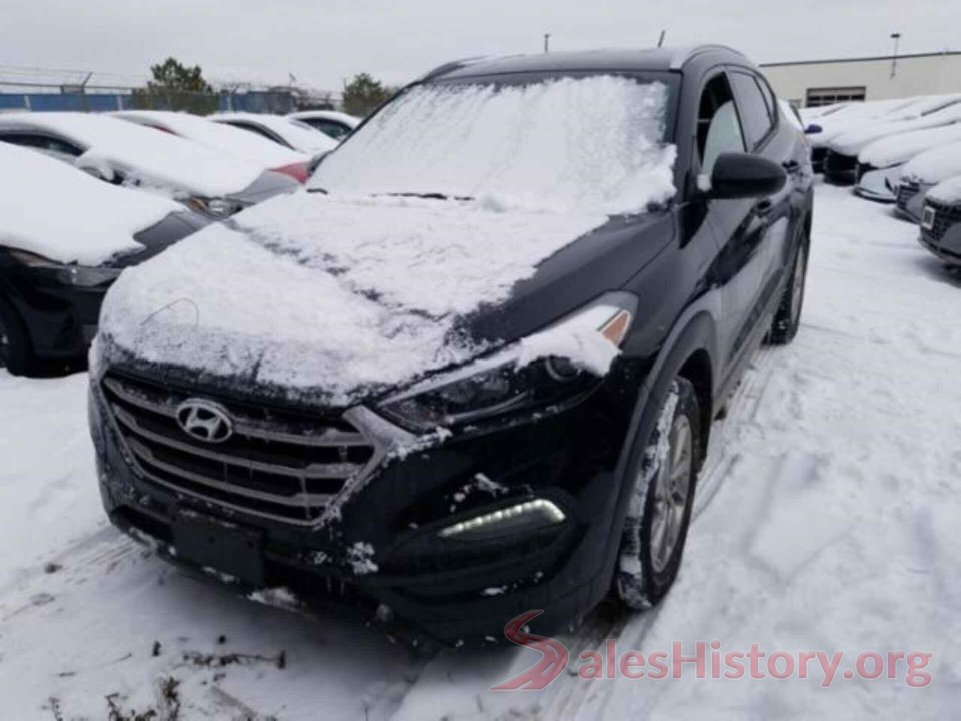 KM8J3CA43HU520286 2017 HYUNDAI TUCSON