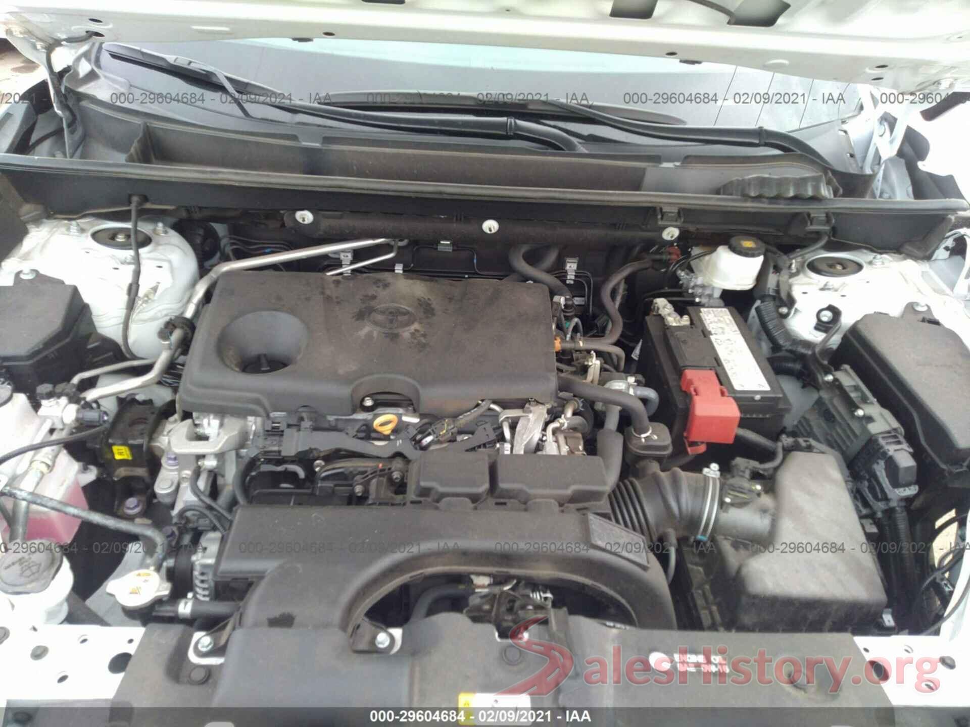 2T3P1RFV2KW081858 2019 TOYOTA RAV4