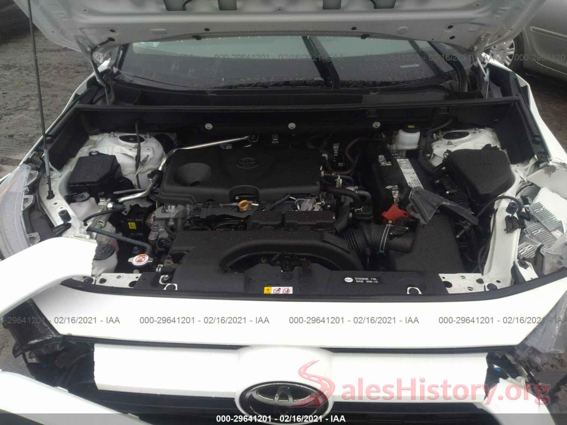 2T3P1RFV5KC012051 2019 TOYOTA RAV4