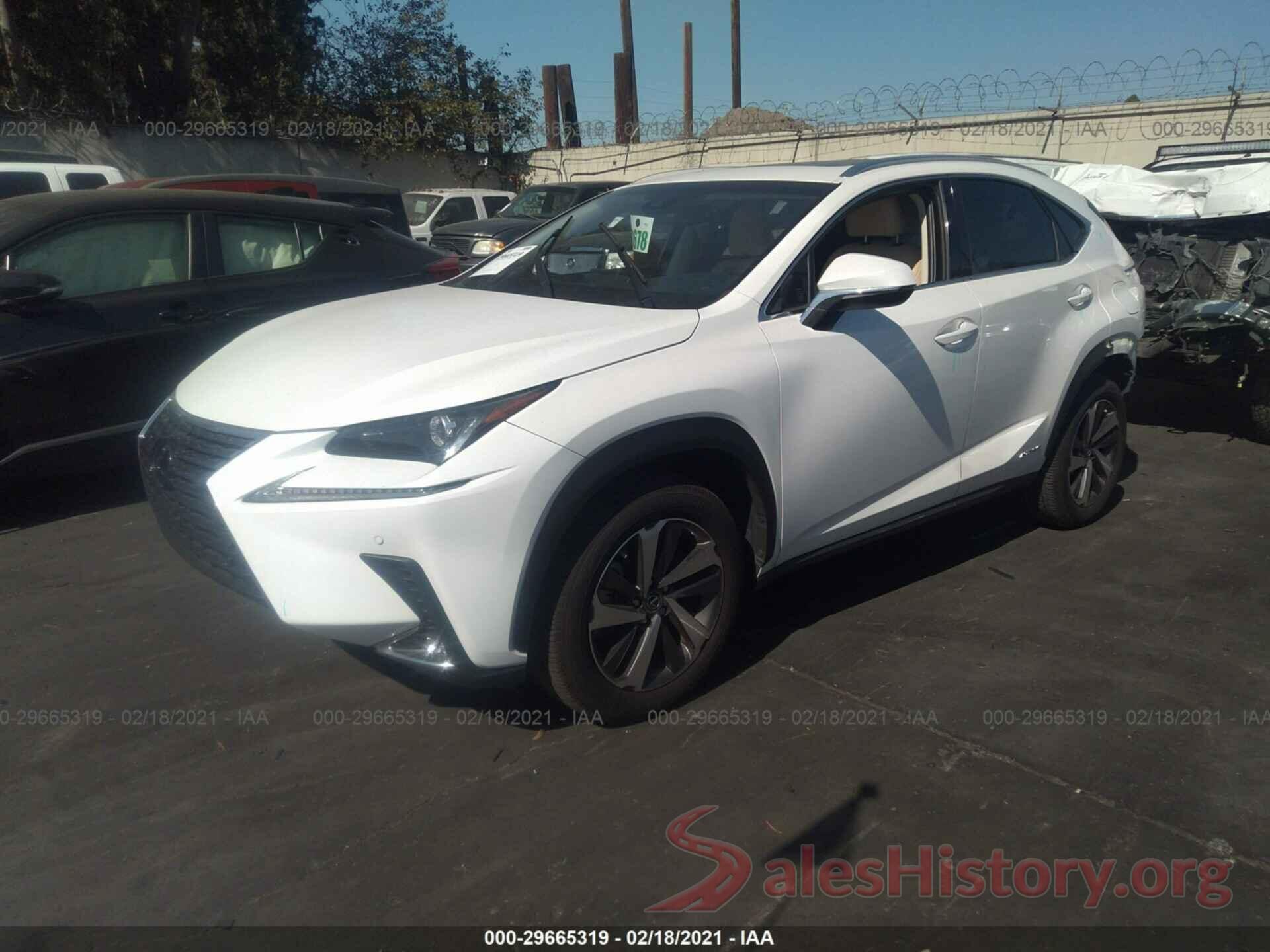 JTJBJRBZ7K2115351 2019 LEXUS NX