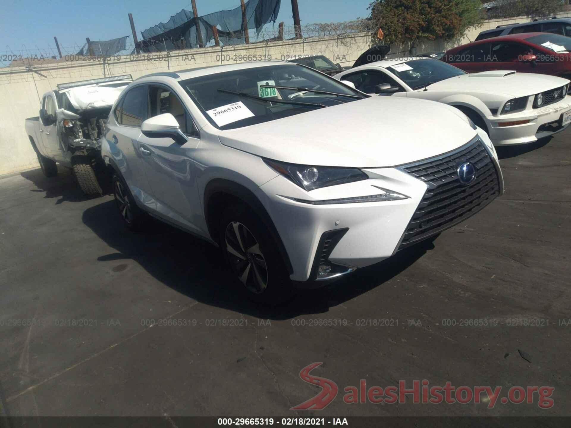 JTJBJRBZ7K2115351 2019 LEXUS NX