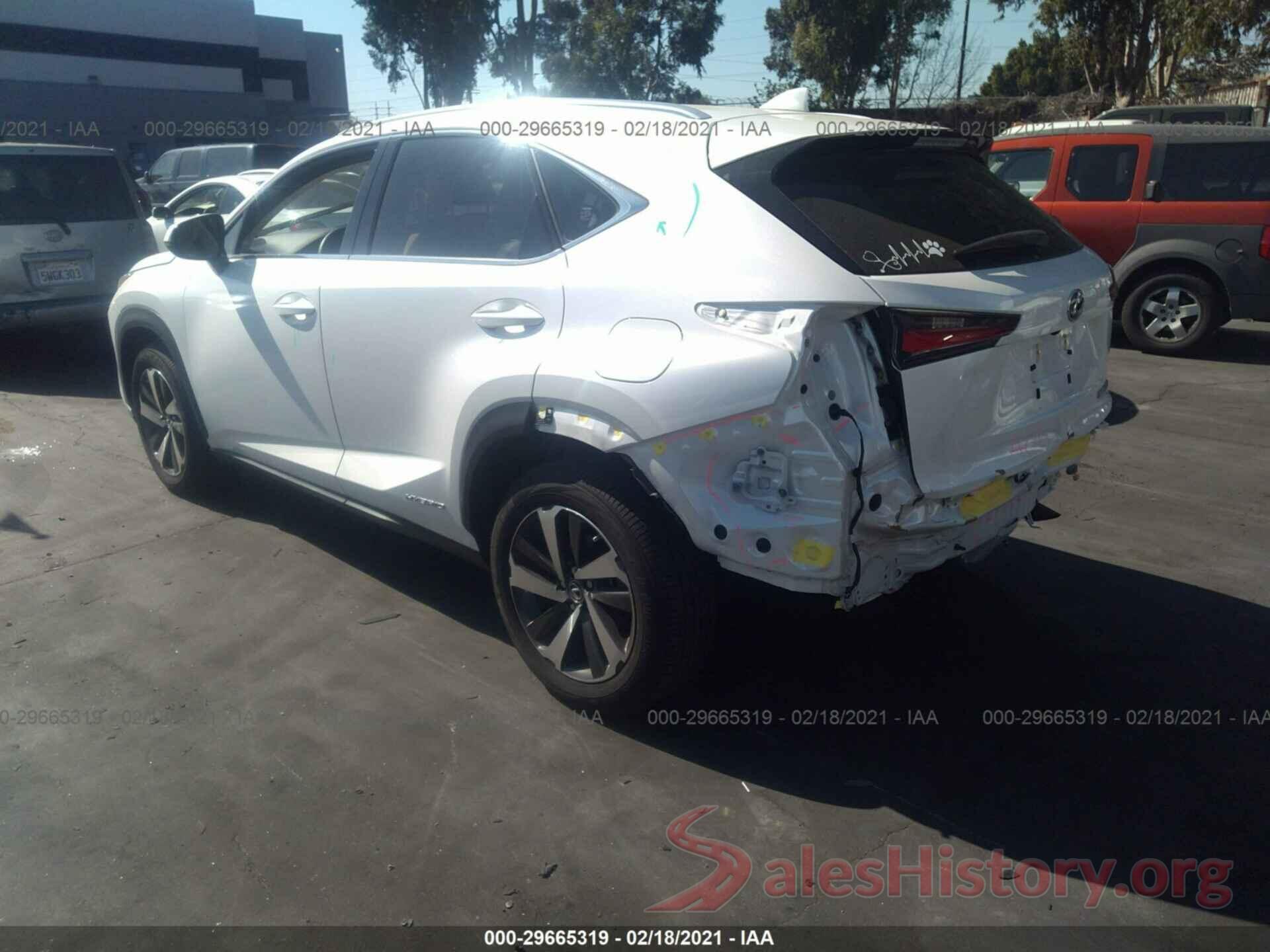 JTJBJRBZ7K2115351 2019 LEXUS NX