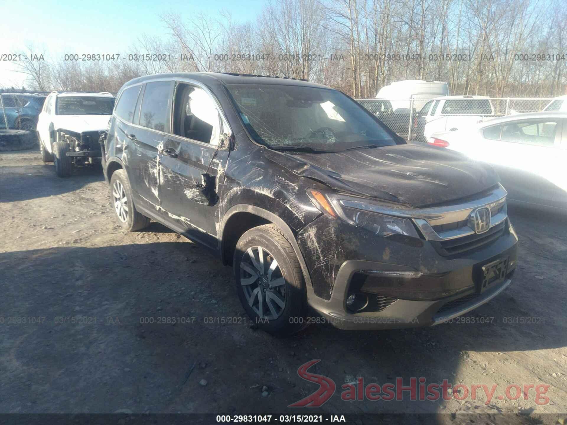 5FNYF6H55KB101091 2019 HONDA PILOT