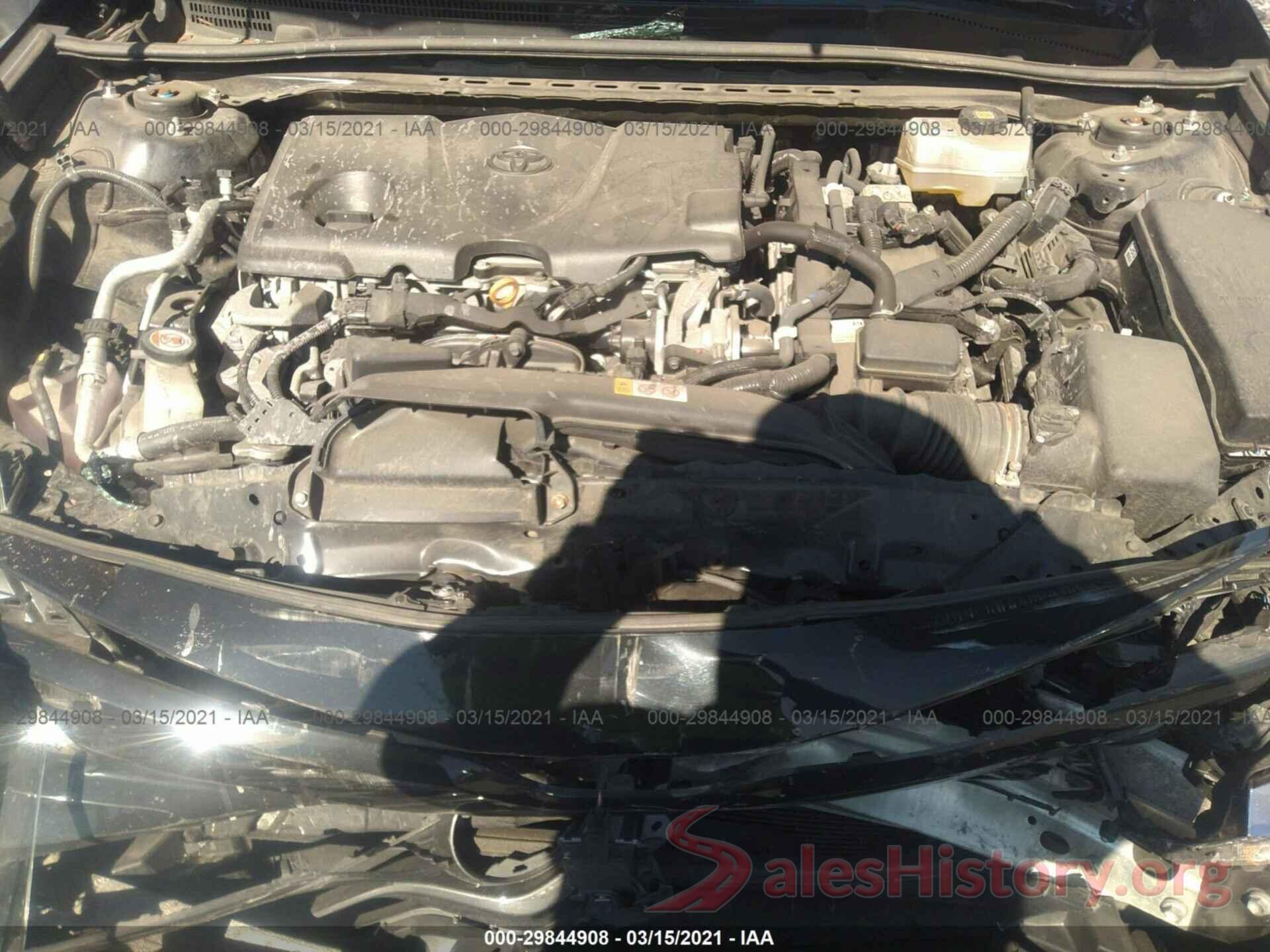 4T1B31HK2KU509462 2019 TOYOTA CAMRY