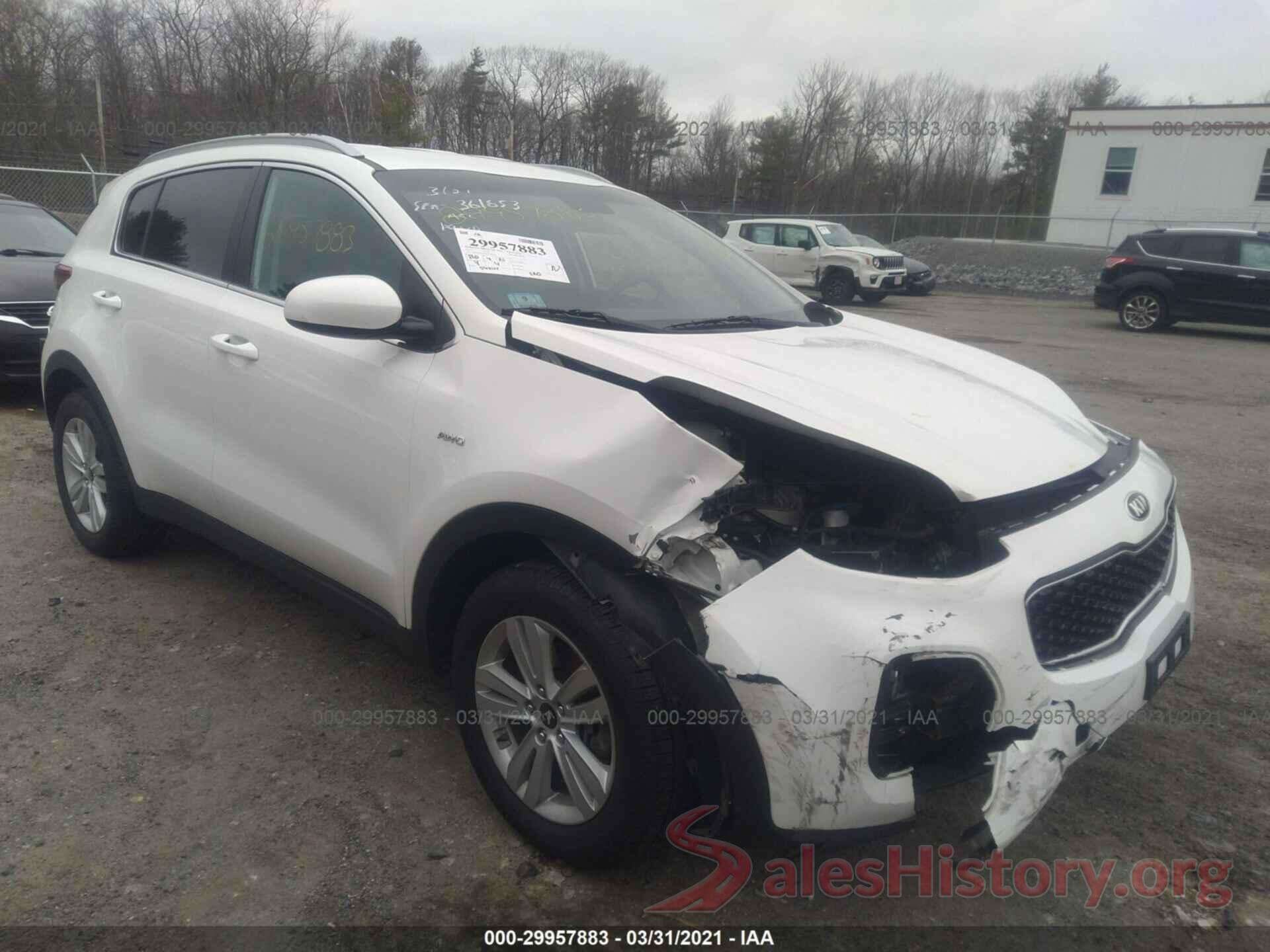 KNDPMCAC7H7035456 2017 KIA SPORTAGE