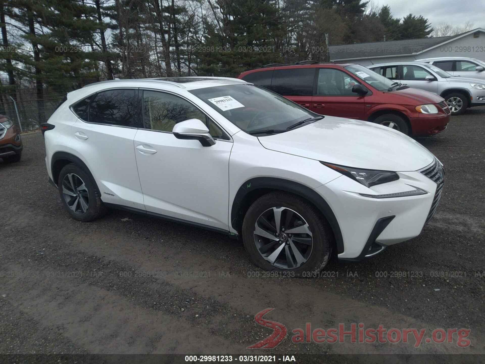 JTJBJRBZXK2098609 2019 LEXUS NX