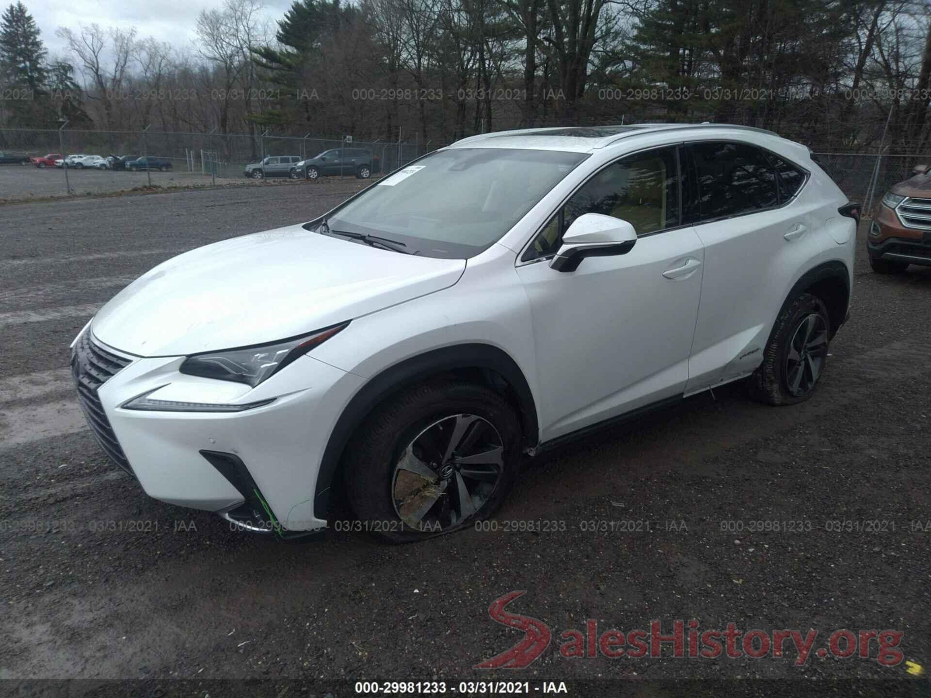 JTJBJRBZXK2098609 2019 LEXUS NX