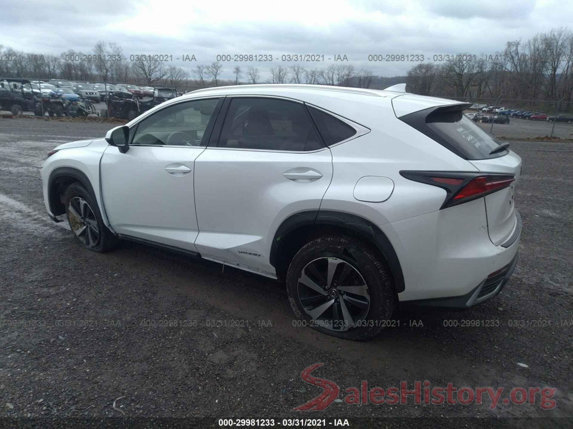 JTJBJRBZXK2098609 2019 LEXUS NX