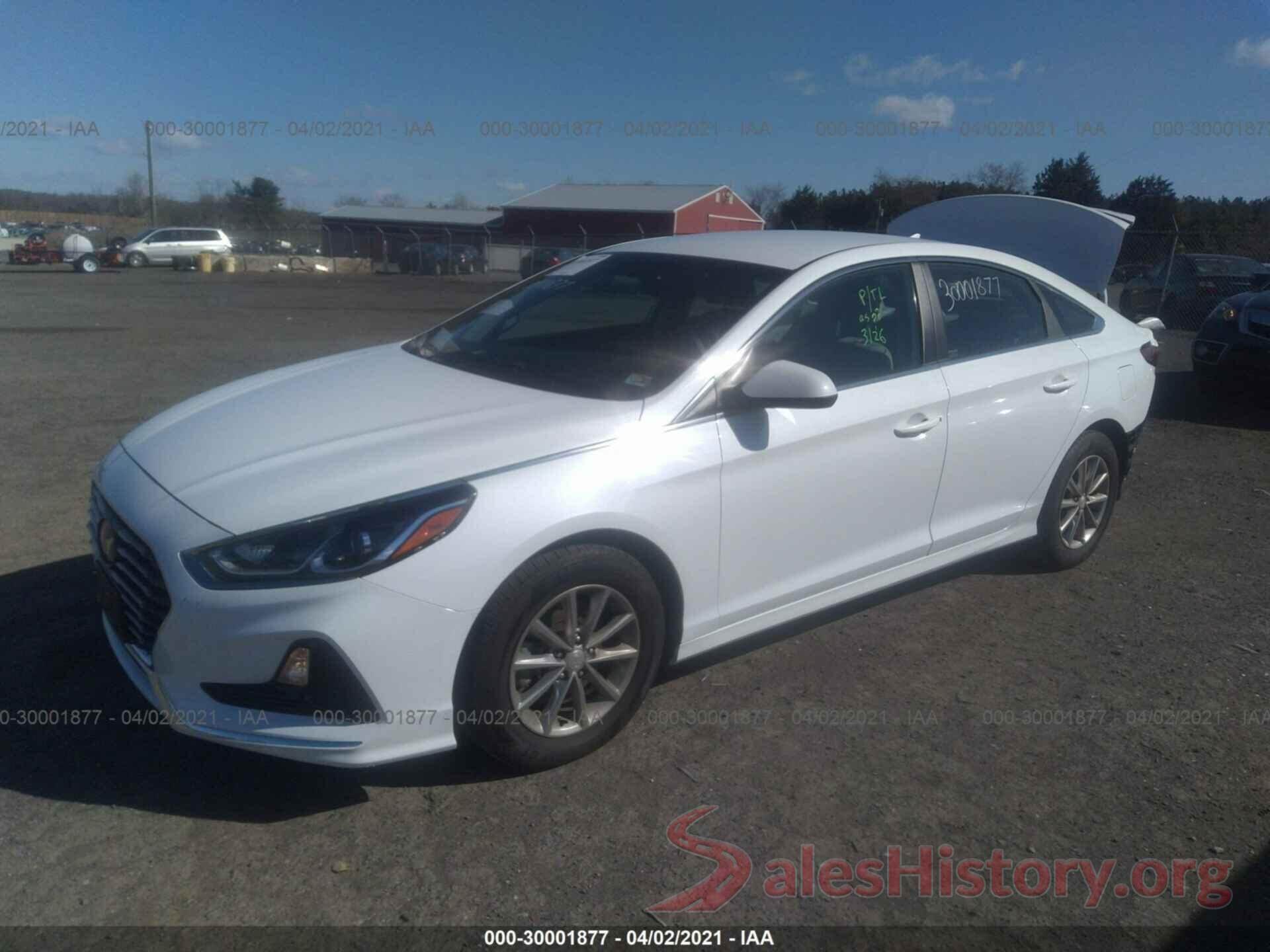 5NPE24AF6KH819546 2019 HYUNDAI SONATA