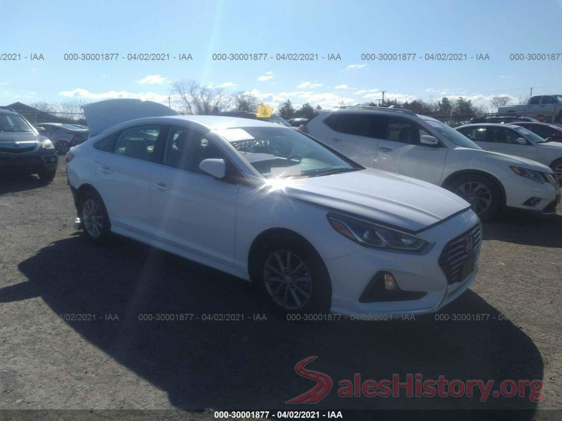 5NPE24AF6KH819546 2019 HYUNDAI SONATA