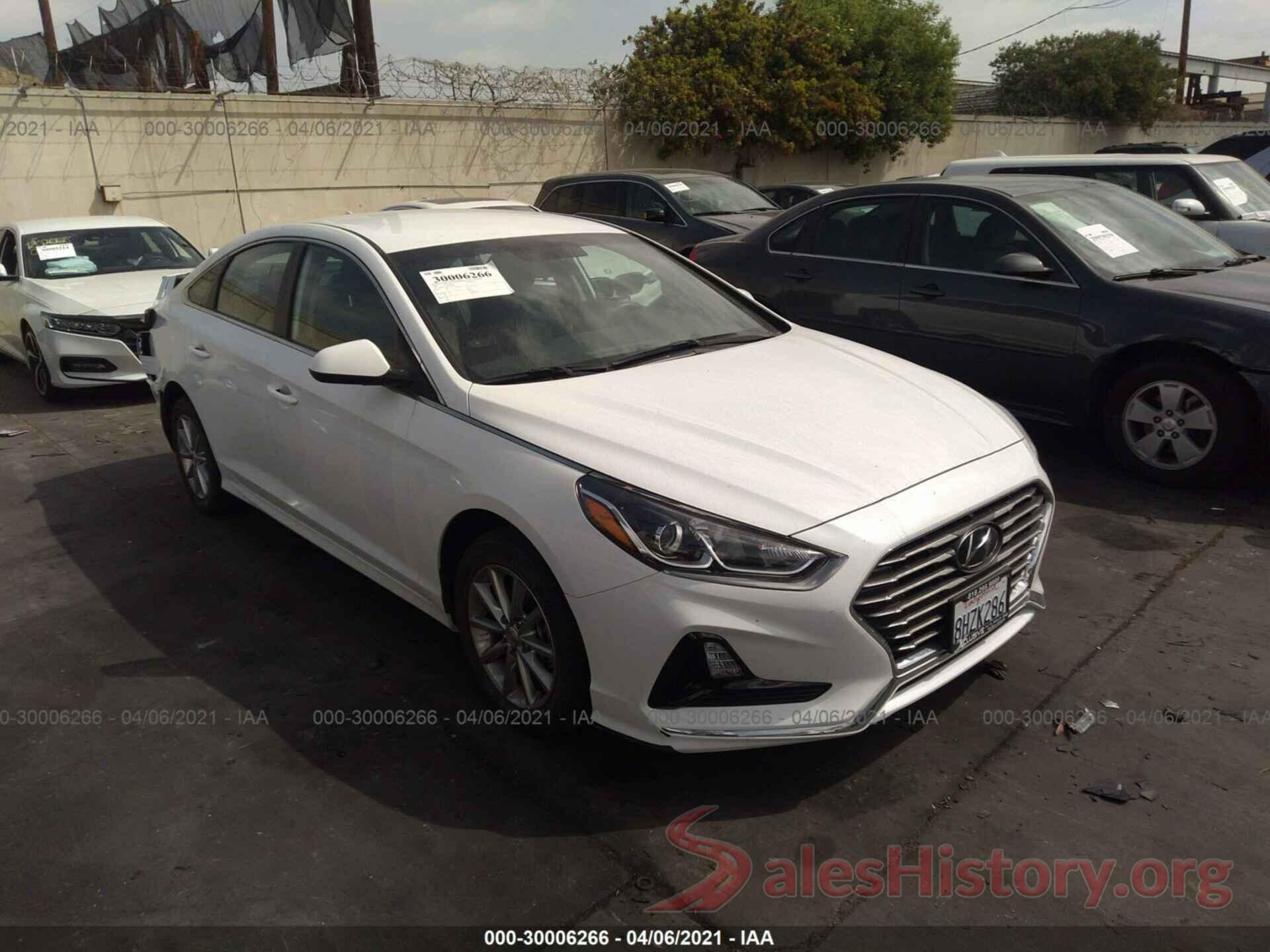 5NPE24AF8KH750410 2019 HYUNDAI SONATA