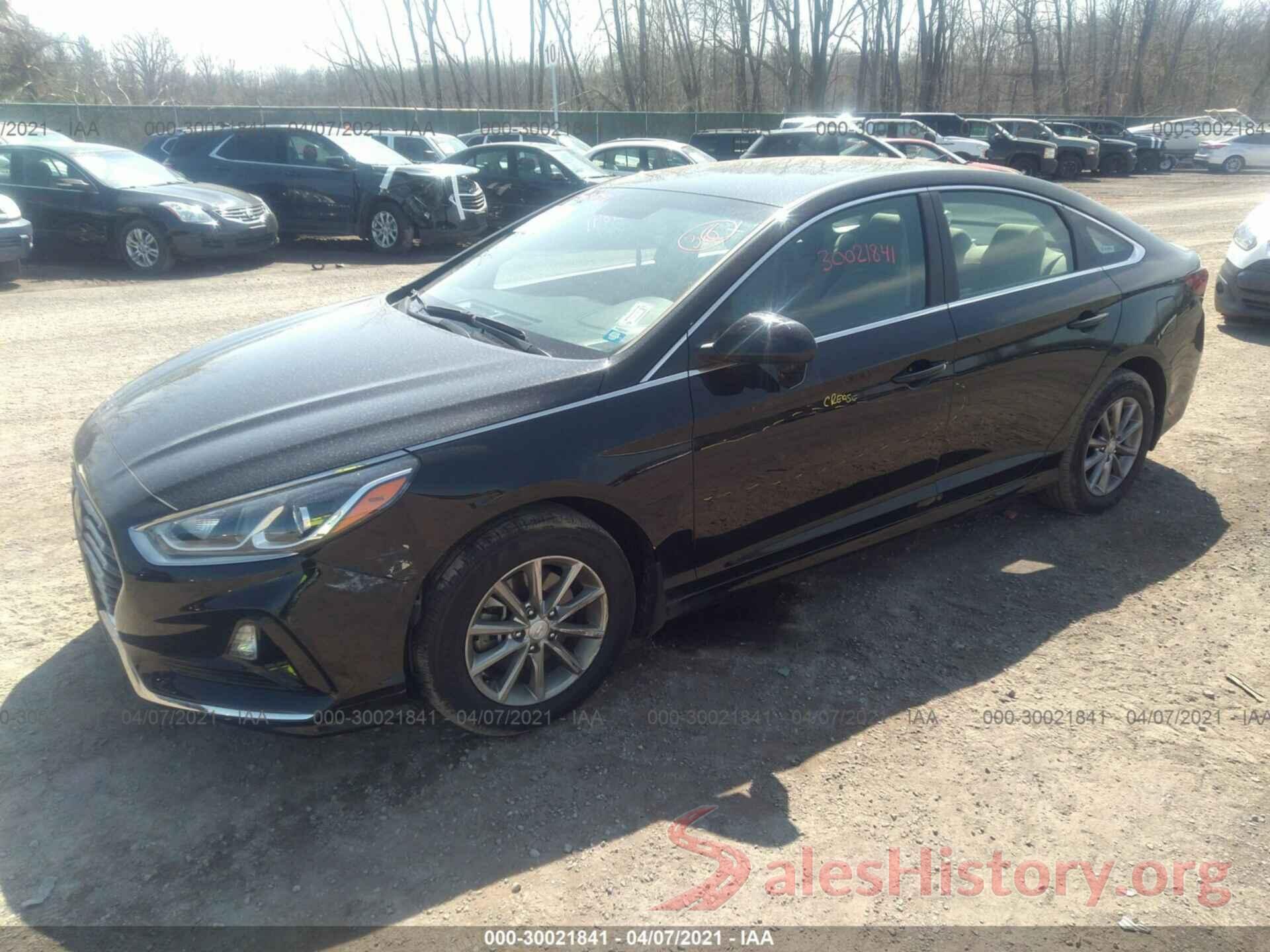 5NPE24AF4KH796364 2019 HYUNDAI SONATA